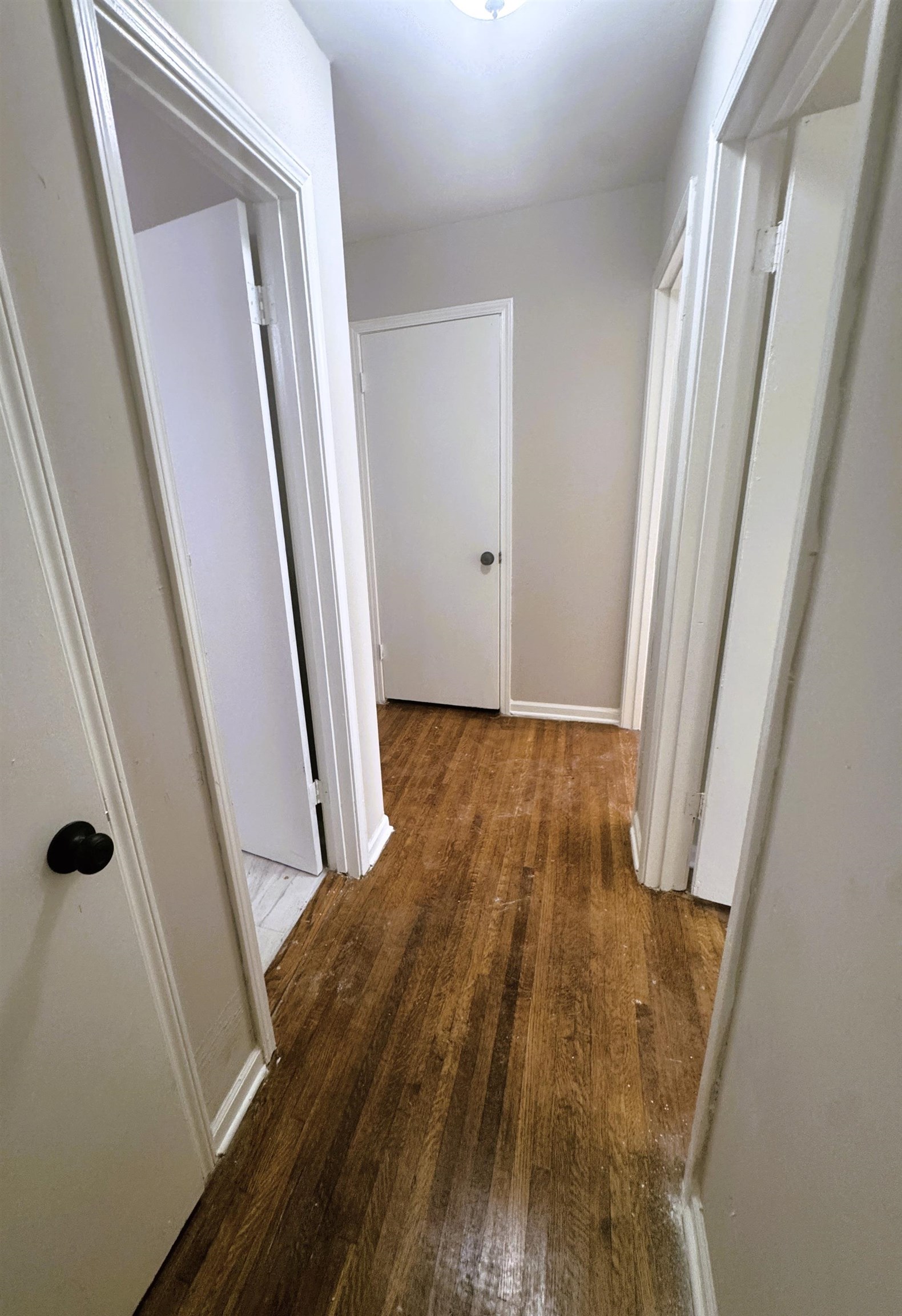 3712 Merritt St Property Photo 6