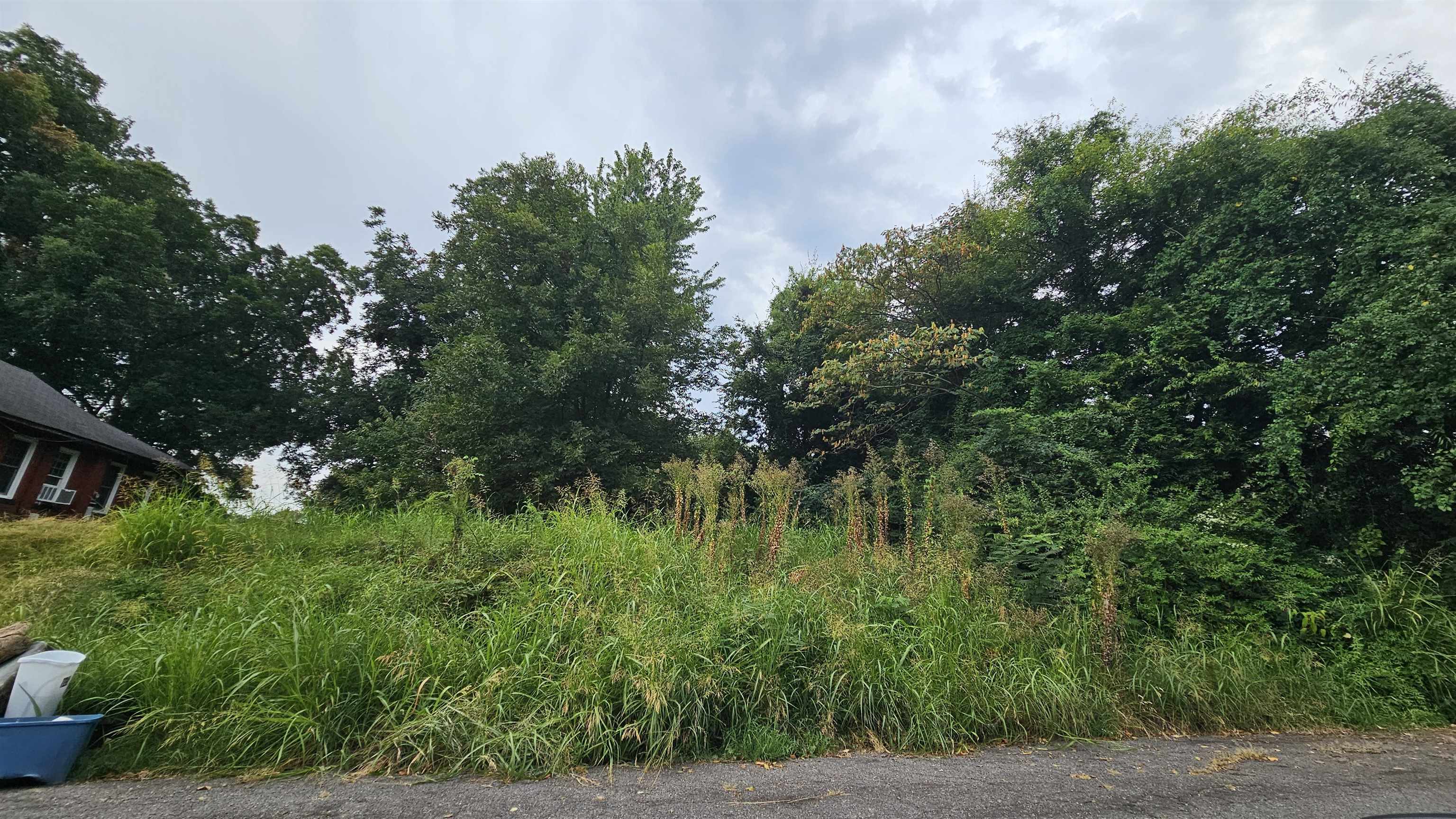 269 E ALSTON AVE Property Photo 1