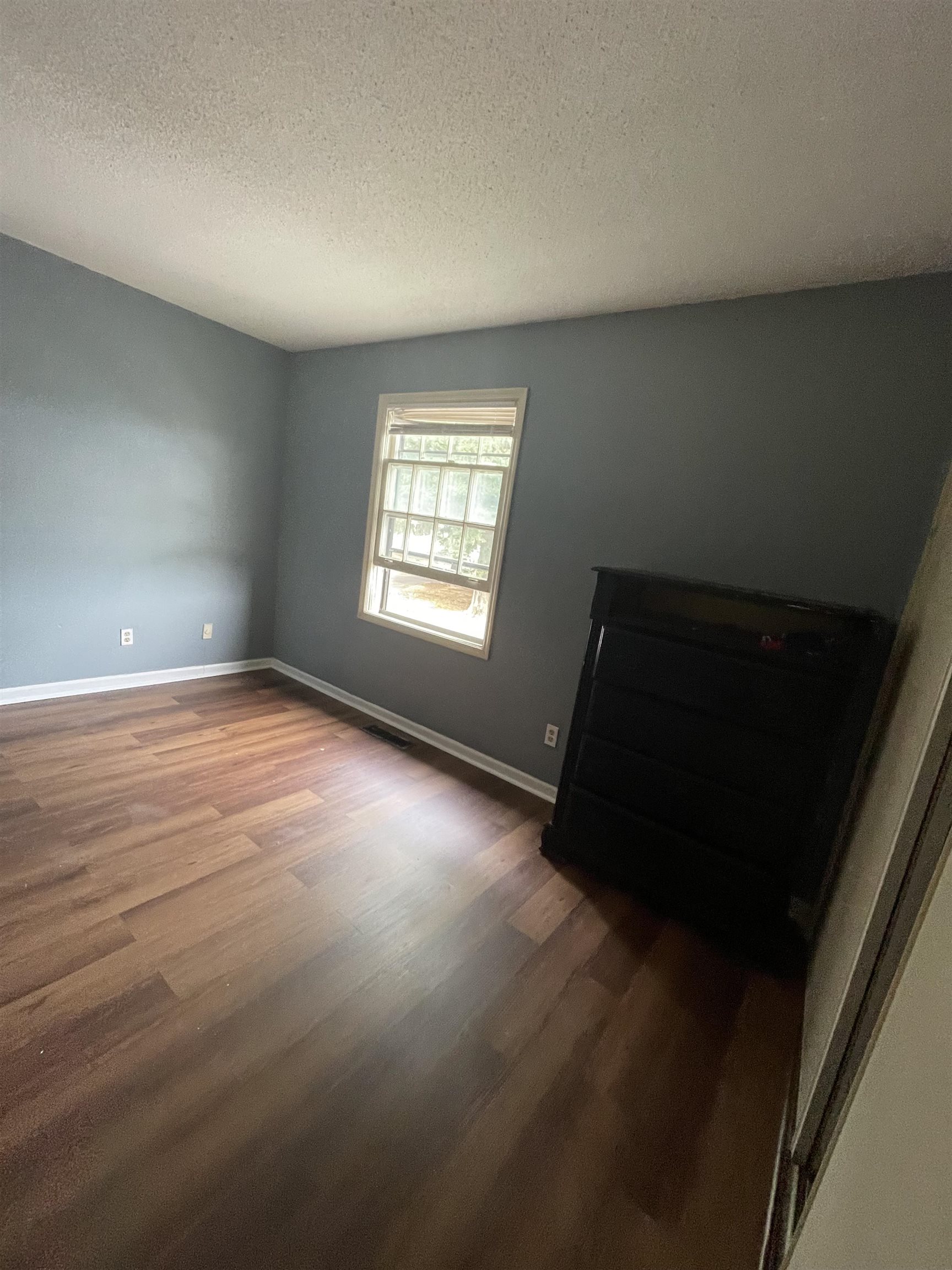 5284 Flowering Peach Dr Property Photo 6