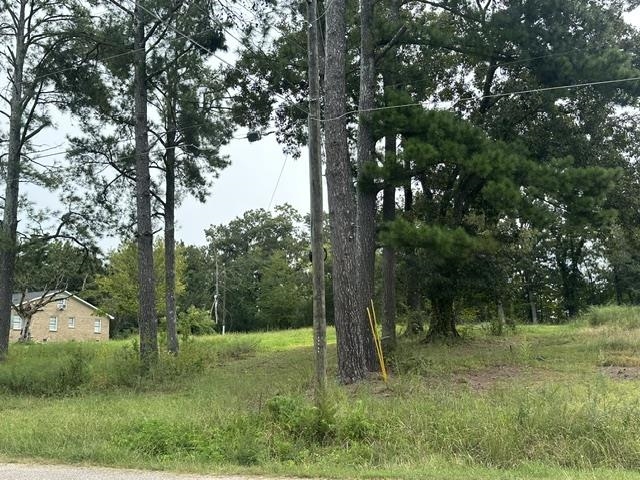 10 Drake Loop Property Photo 3