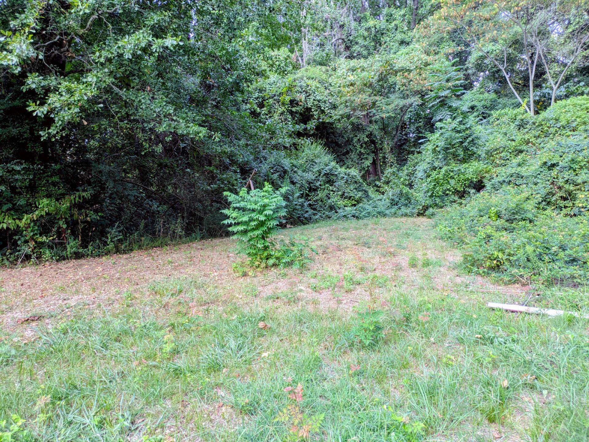 4897 Manson Rd Property Photo 14