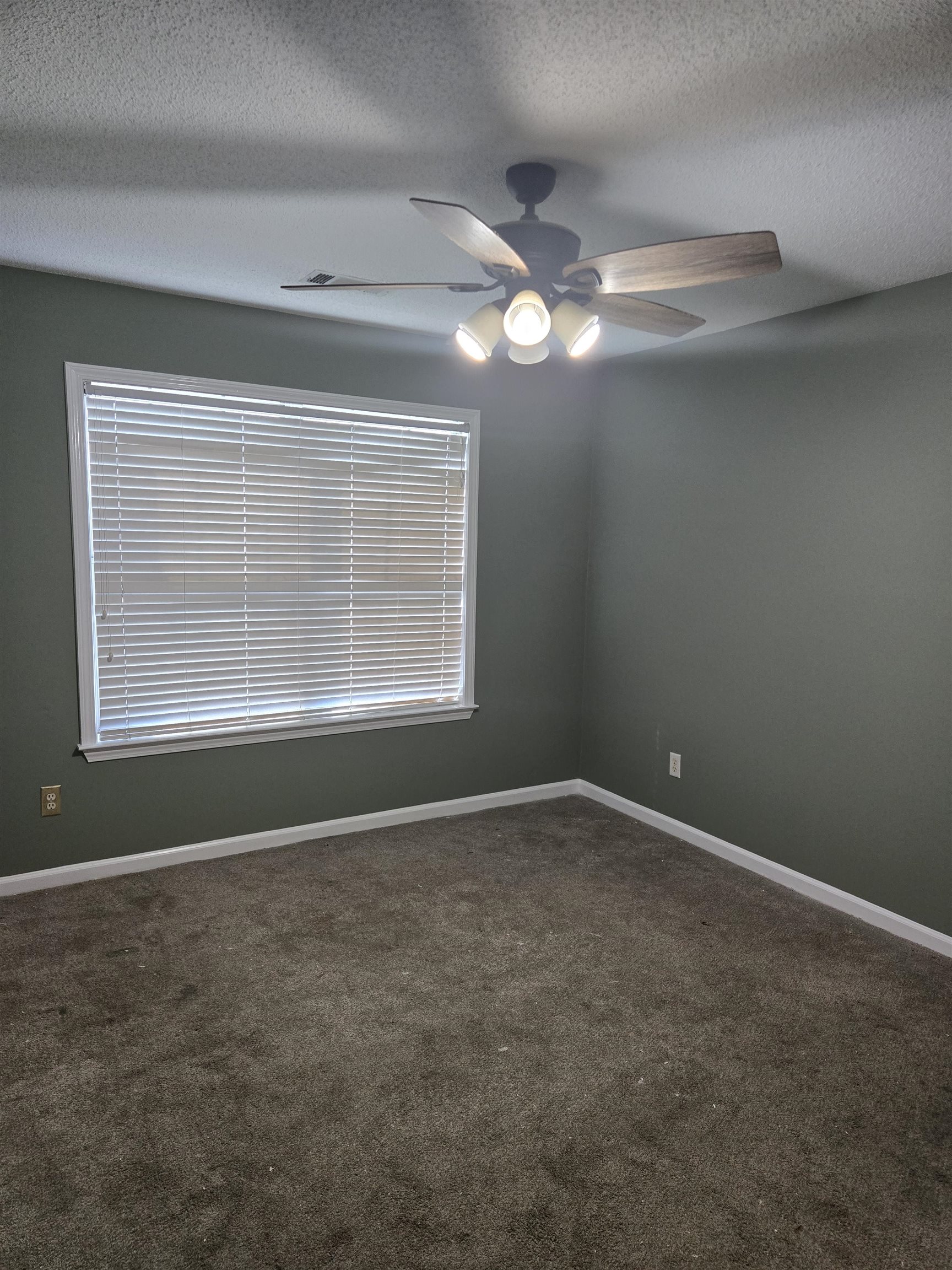 6573 Logwood Cv Property Photo 11