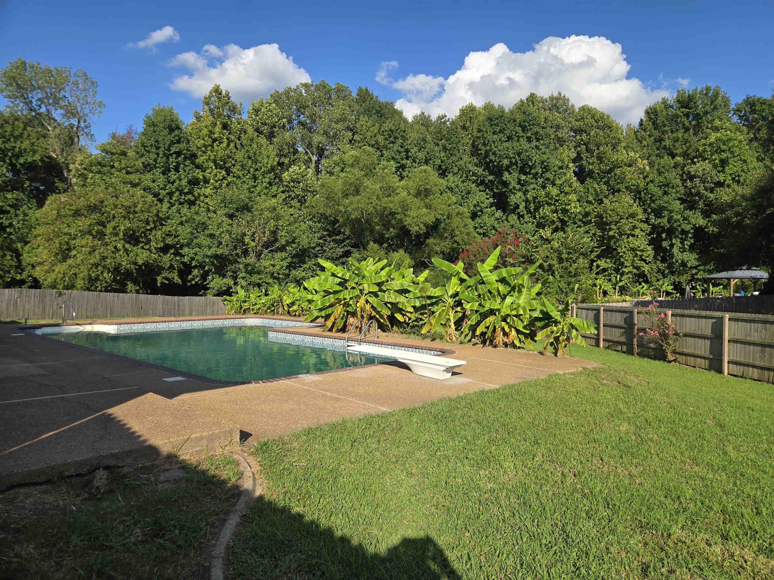 6573 Logwood Cv Property Photo 18