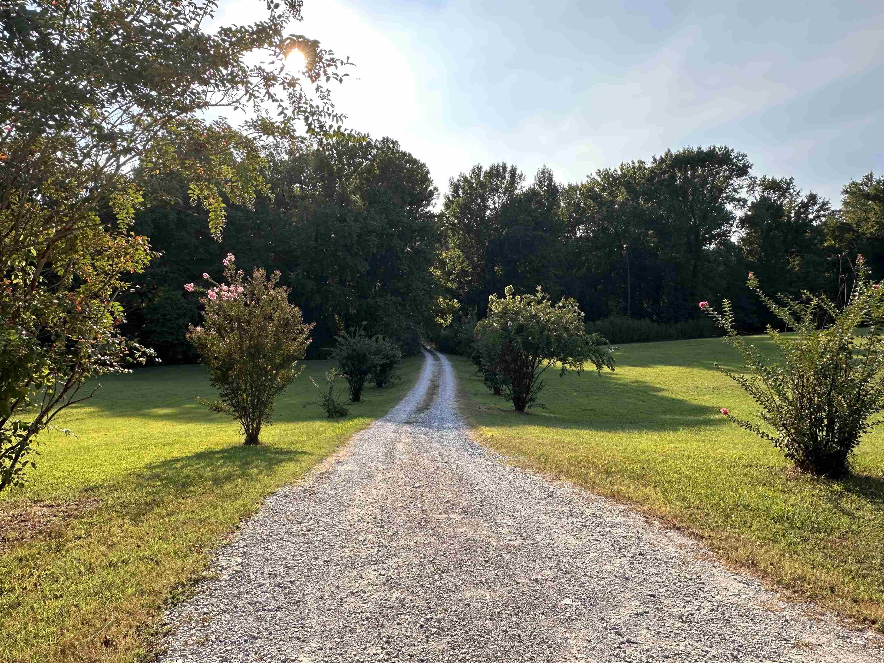 768 Girl Scout Rd Property Photo 20