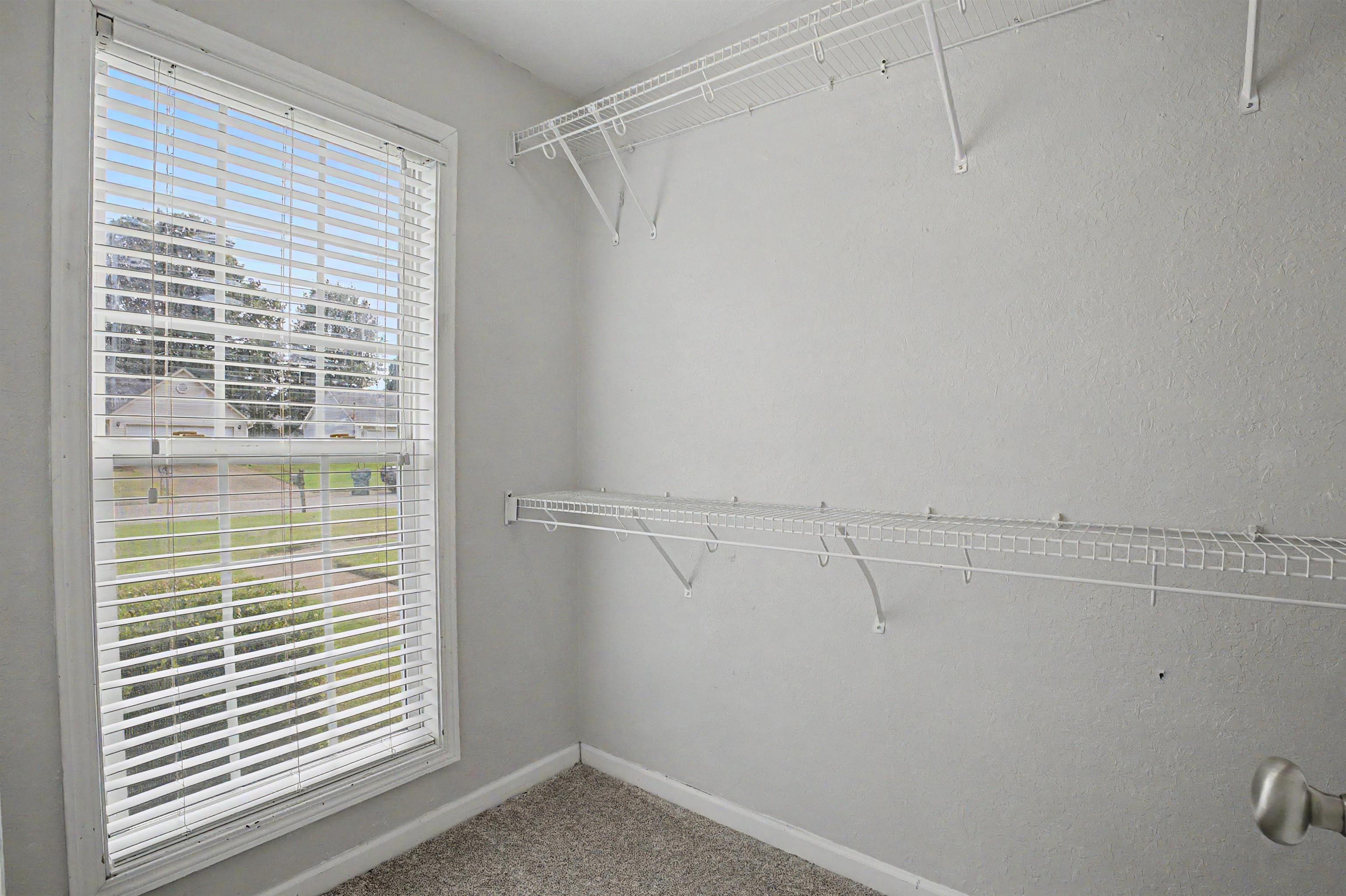 9 Broadleaf Cv Property Photo 15