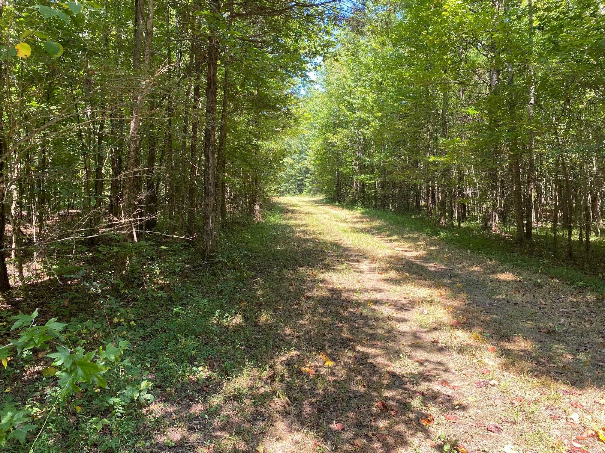 Oak Grove Ln Property Photo 1
