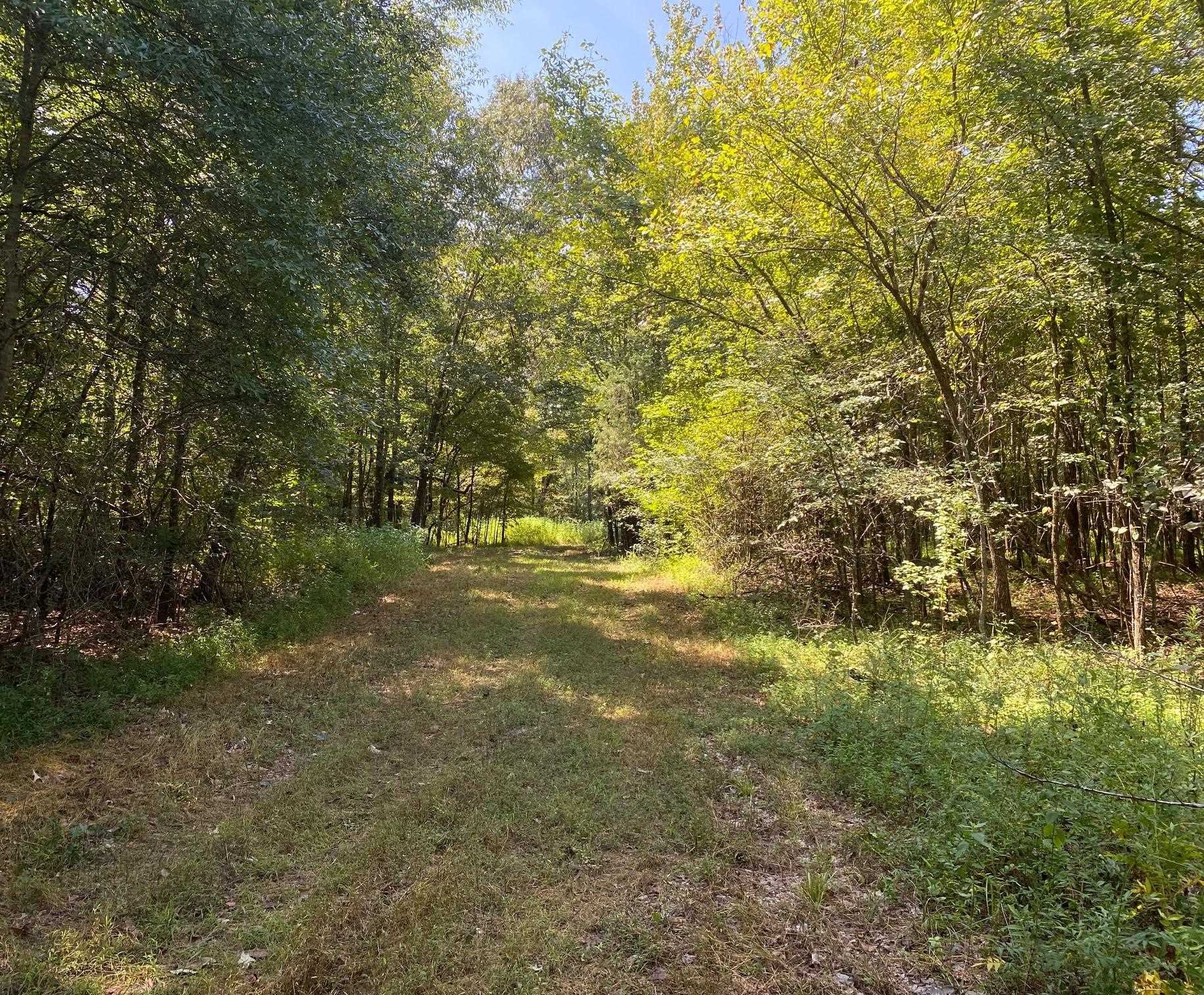 Oak Grove Ln Property Photo 2