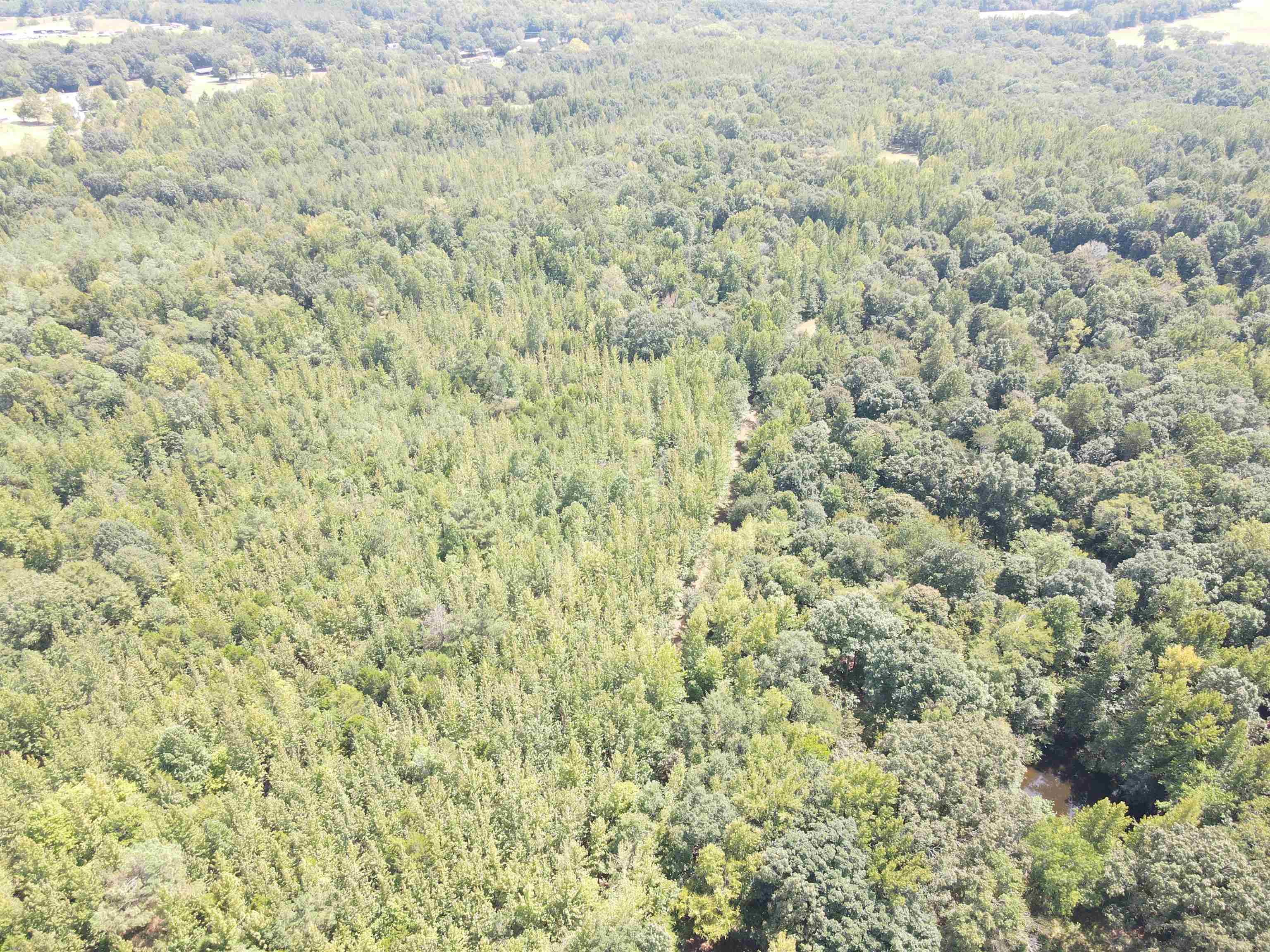 Oak Grove Ln Property Photo 11