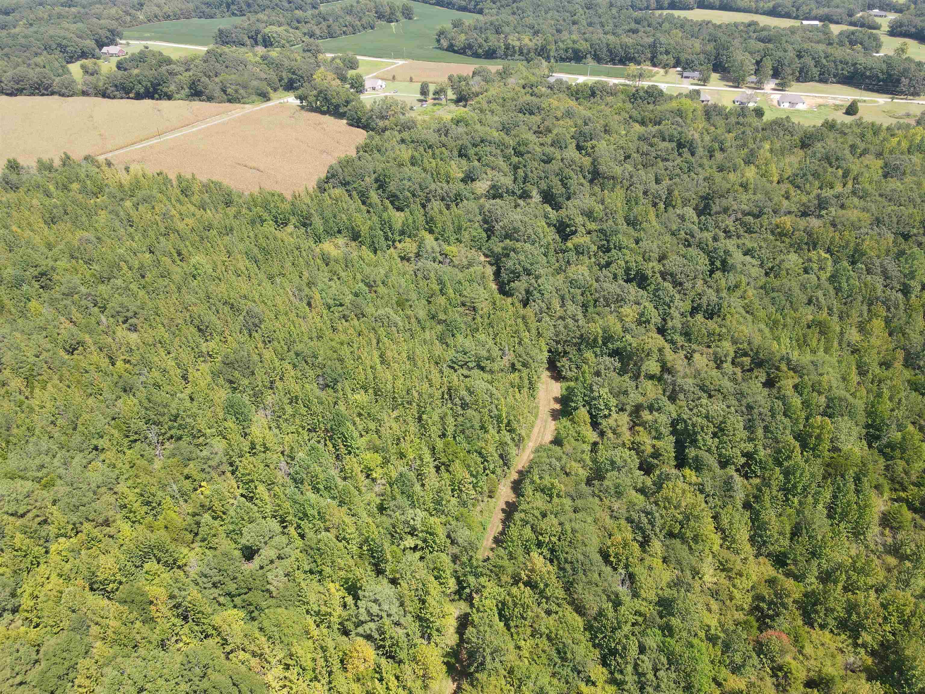 Oak Grove Ln Property Photo 12