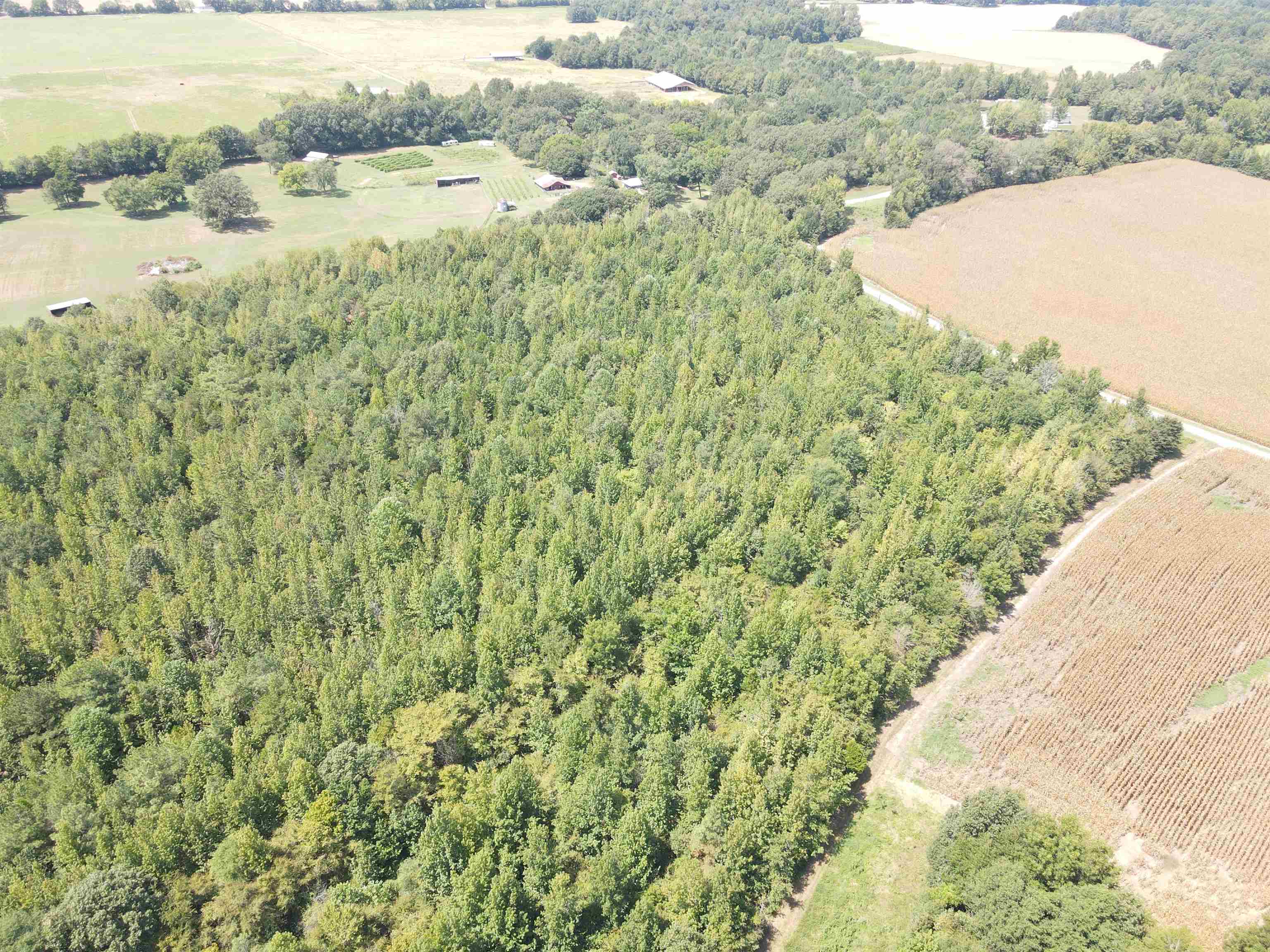 Oak Grove Ln Property Photo 13