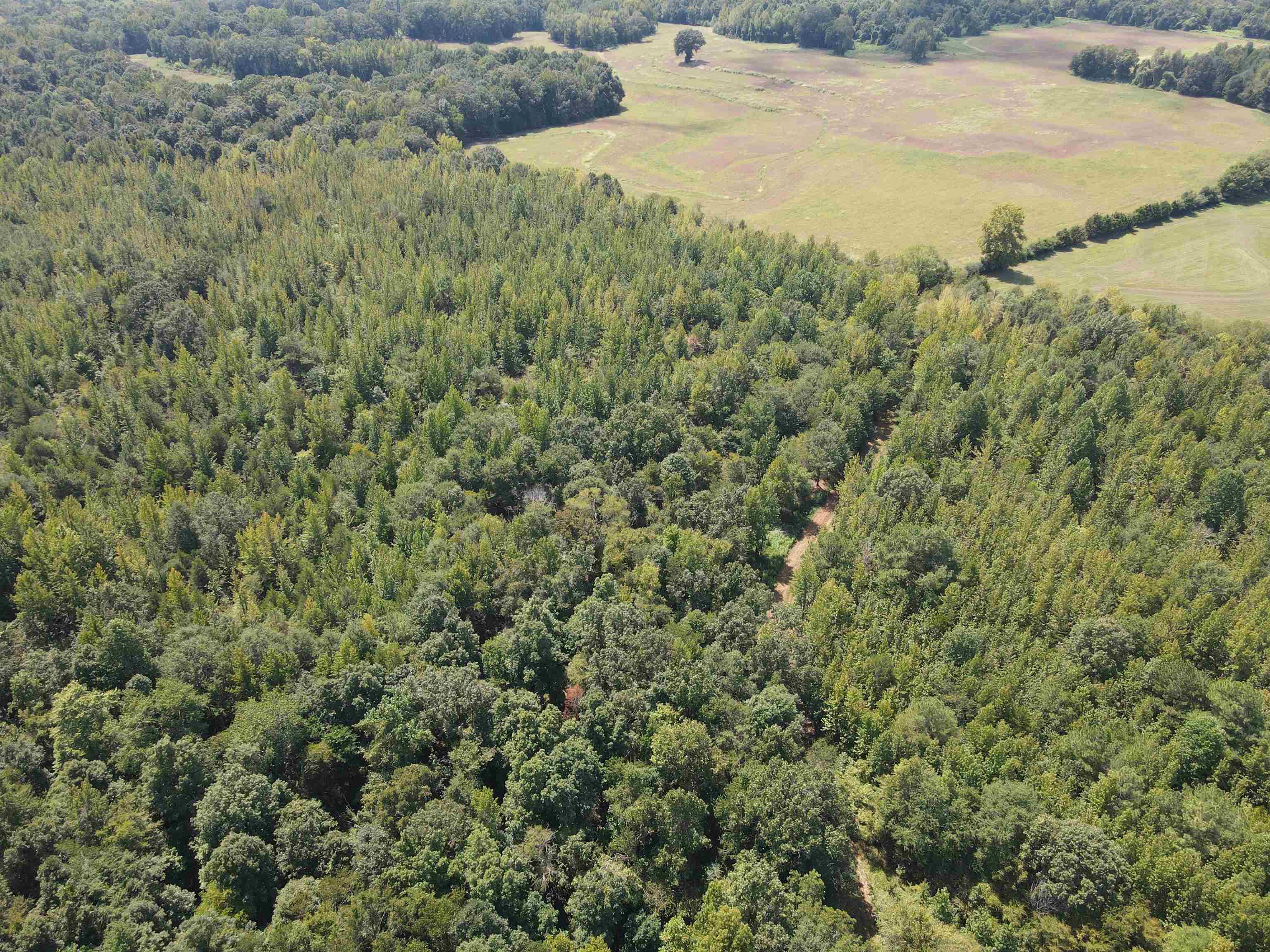 Oak Grove Ln Property Photo 14