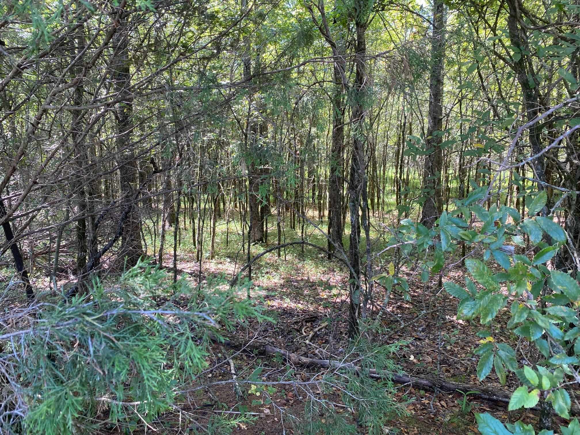 Oak Grove Ln Property Photo 18