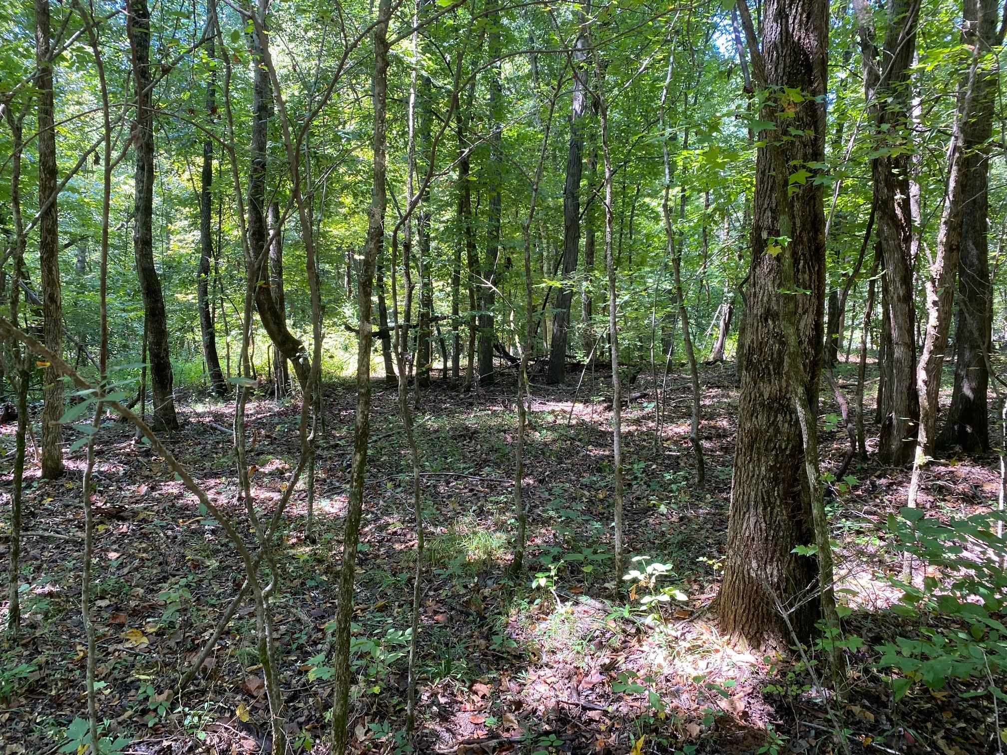 Oak Grove Ln Property Photo 19