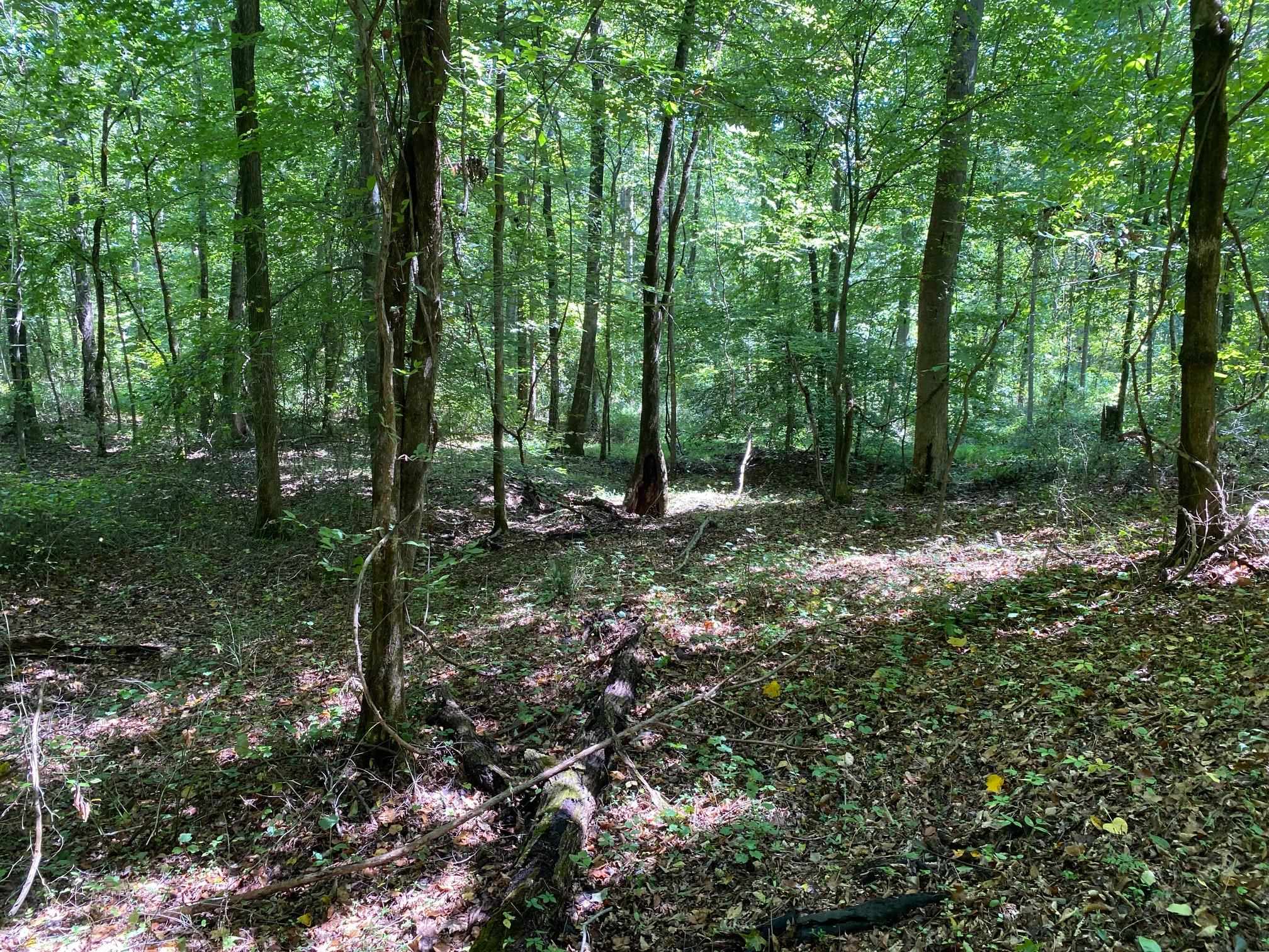 Oak Grove Ln Property Photo 20