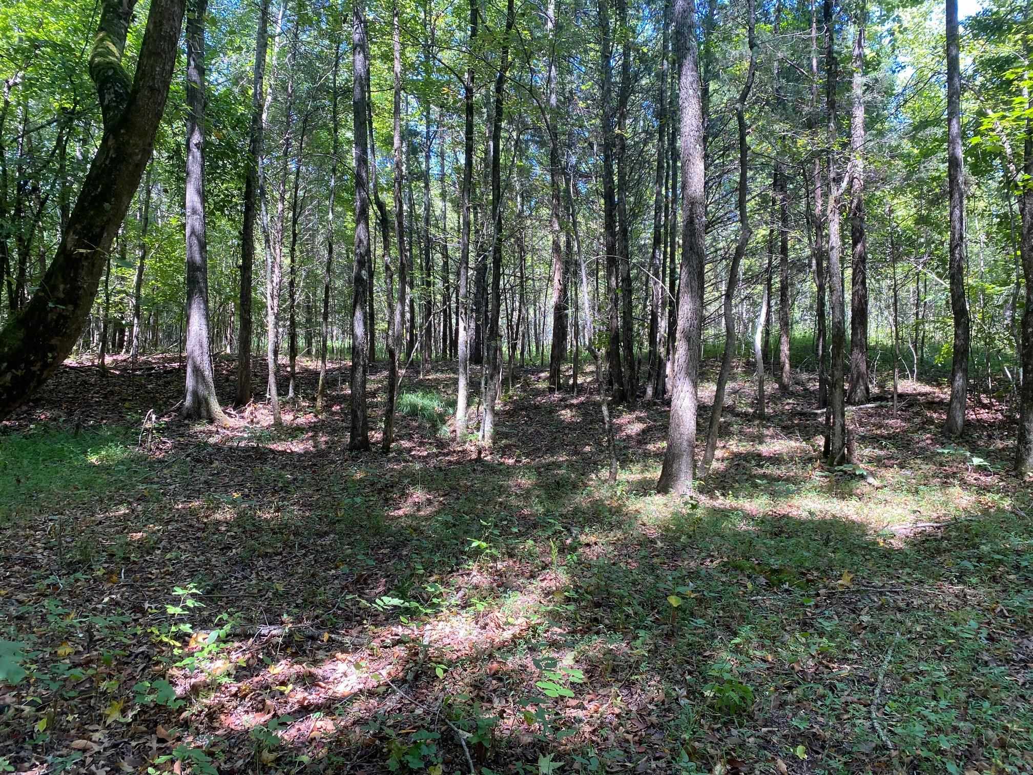 Oak Grove Ln Property Photo 21
