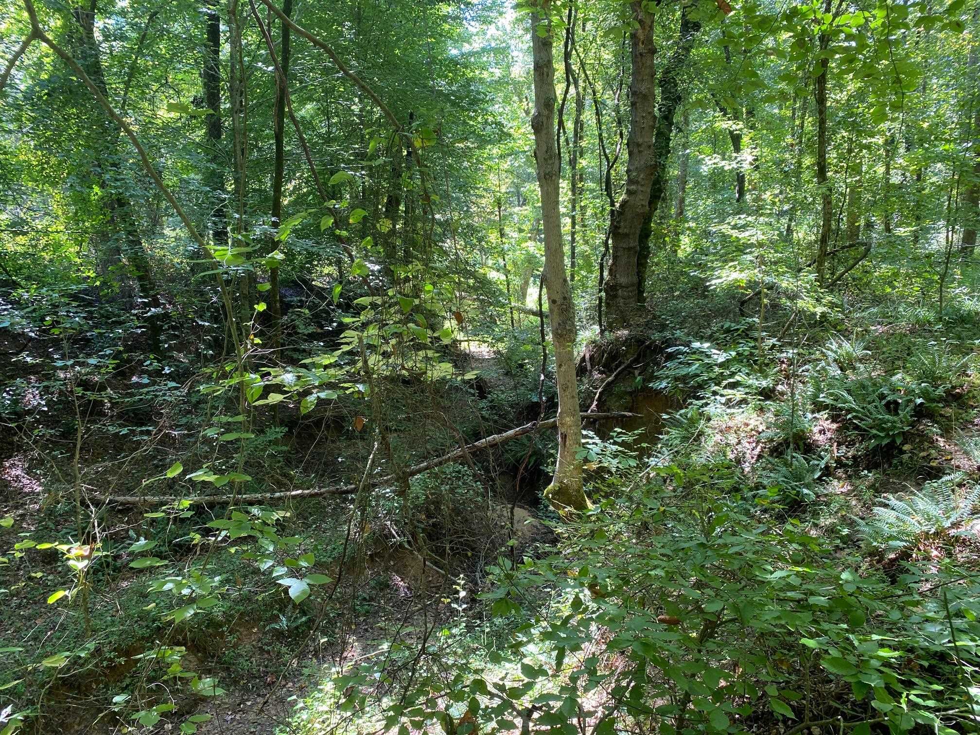 Oak Grove Ln Property Photo 24