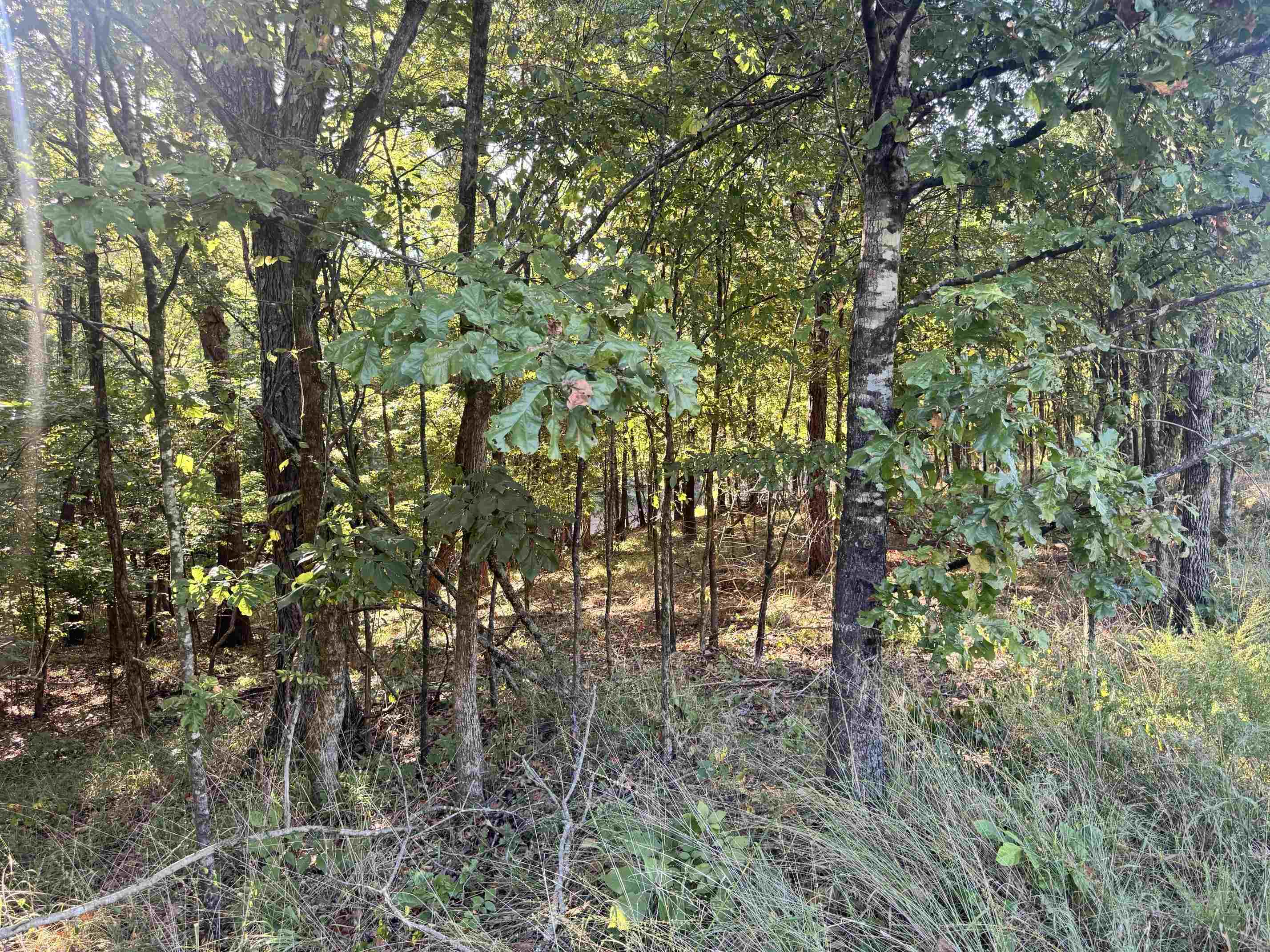 0 S Red Banks Rd Property Photo 2