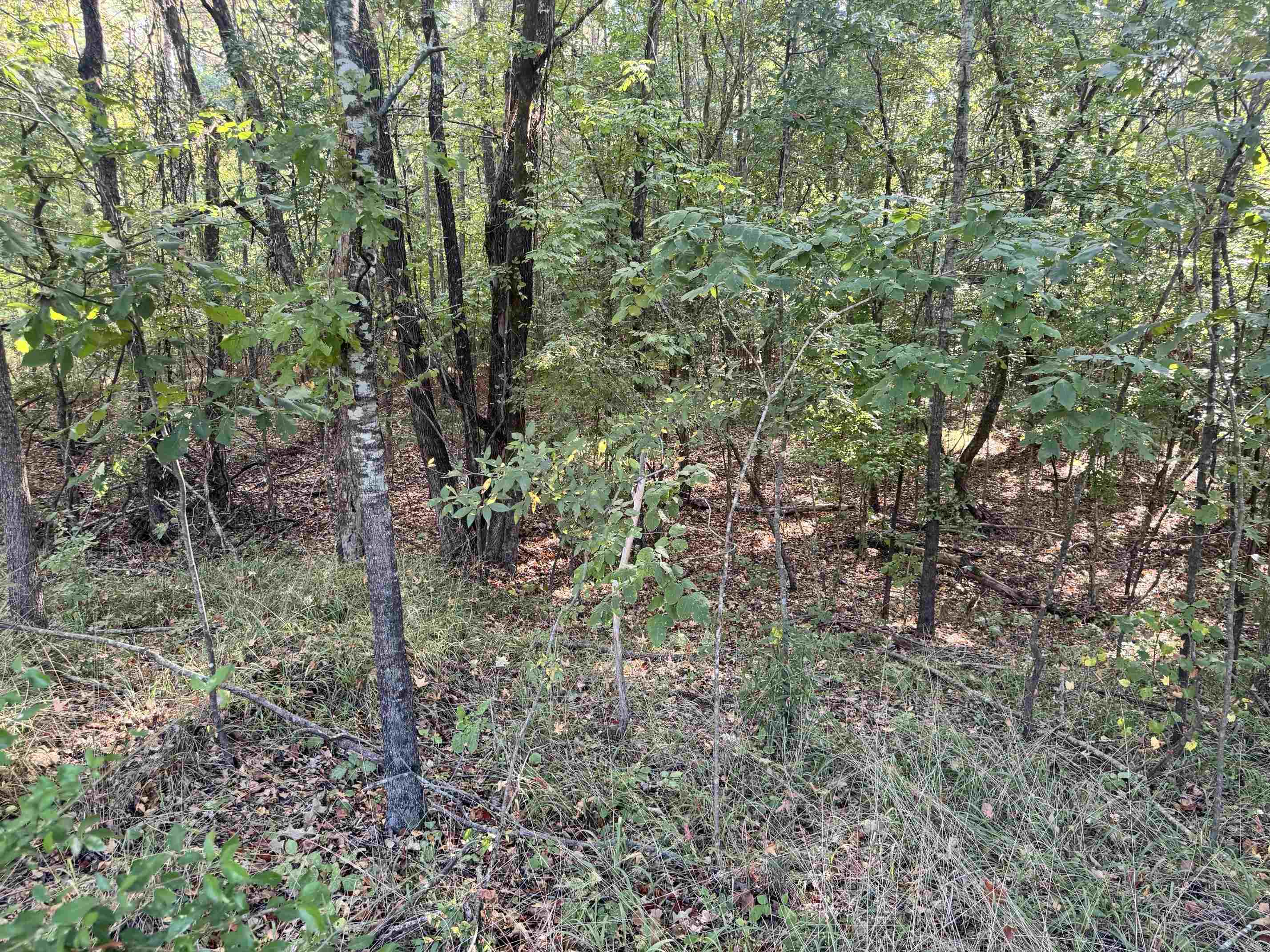 0 S Red Banks Rd Property Photo 4