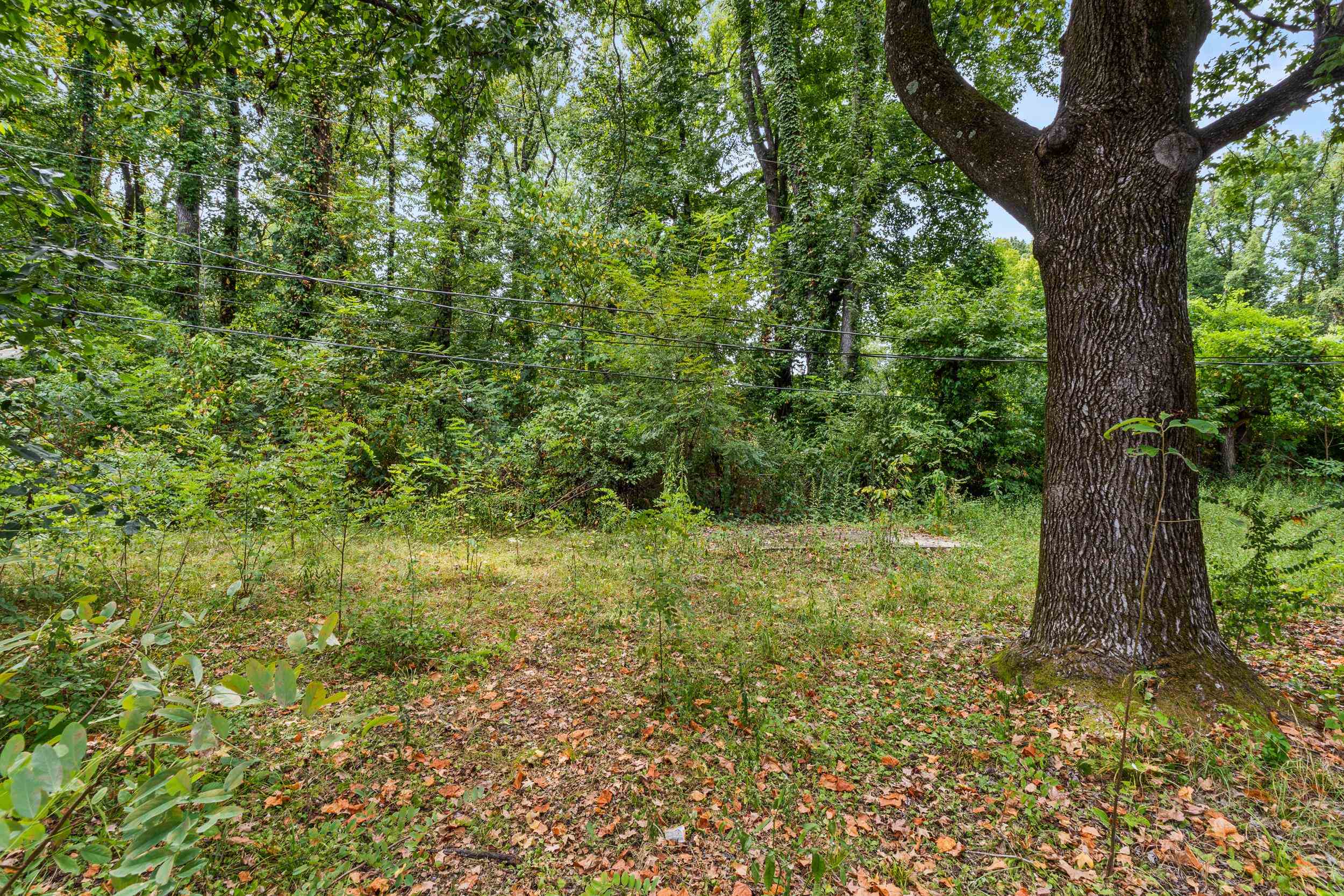 2415 Debby Cv Property Photo 3