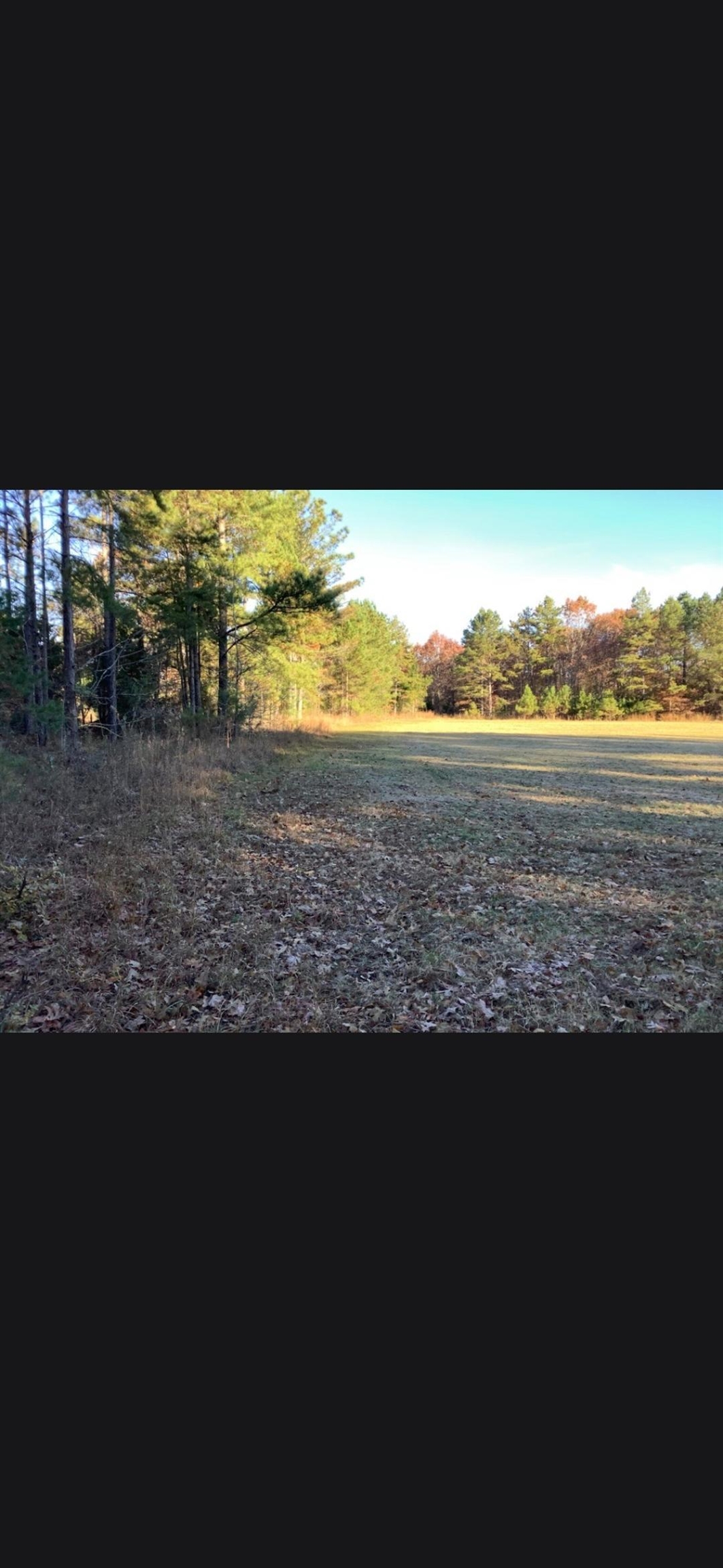 0 Bullock Rd Property Photo 2