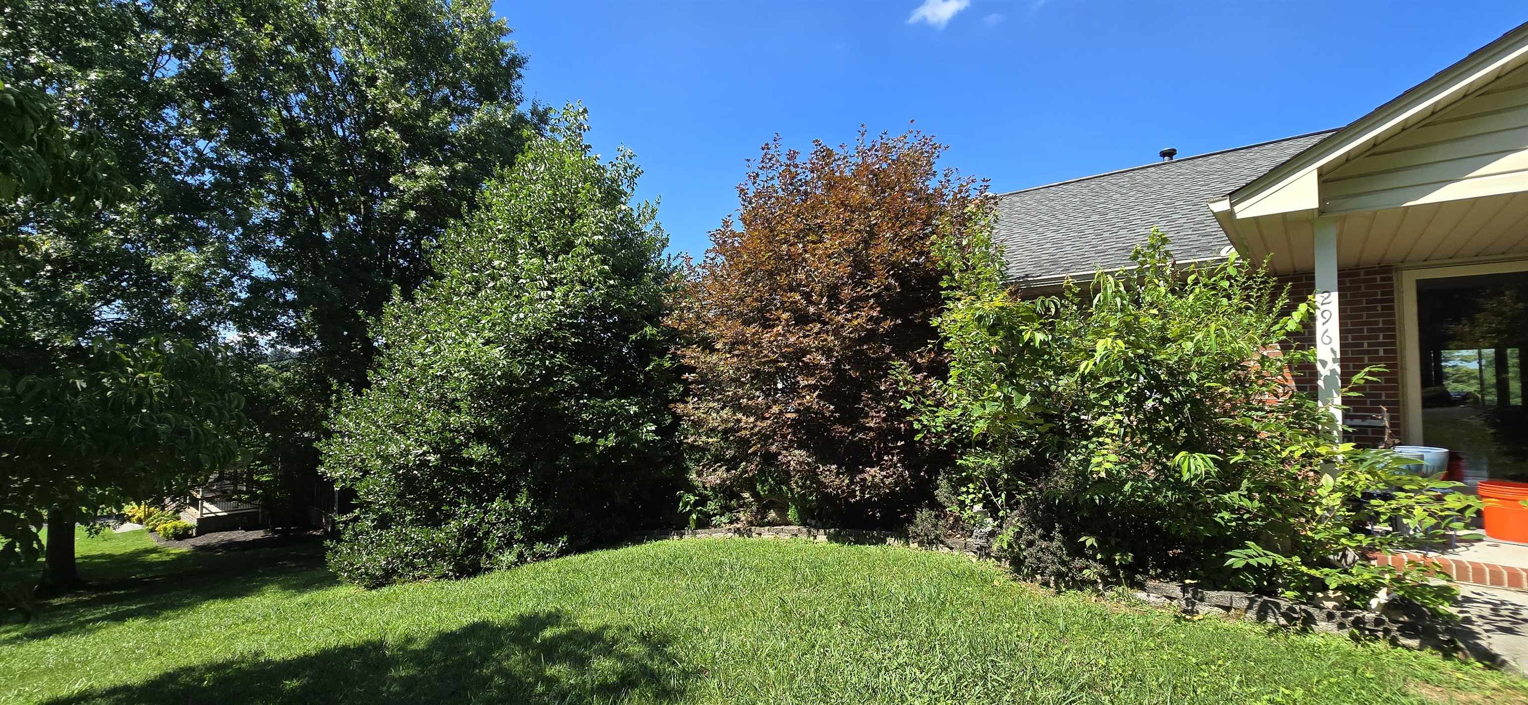 296 Battlefield Dr Property Photo 10
