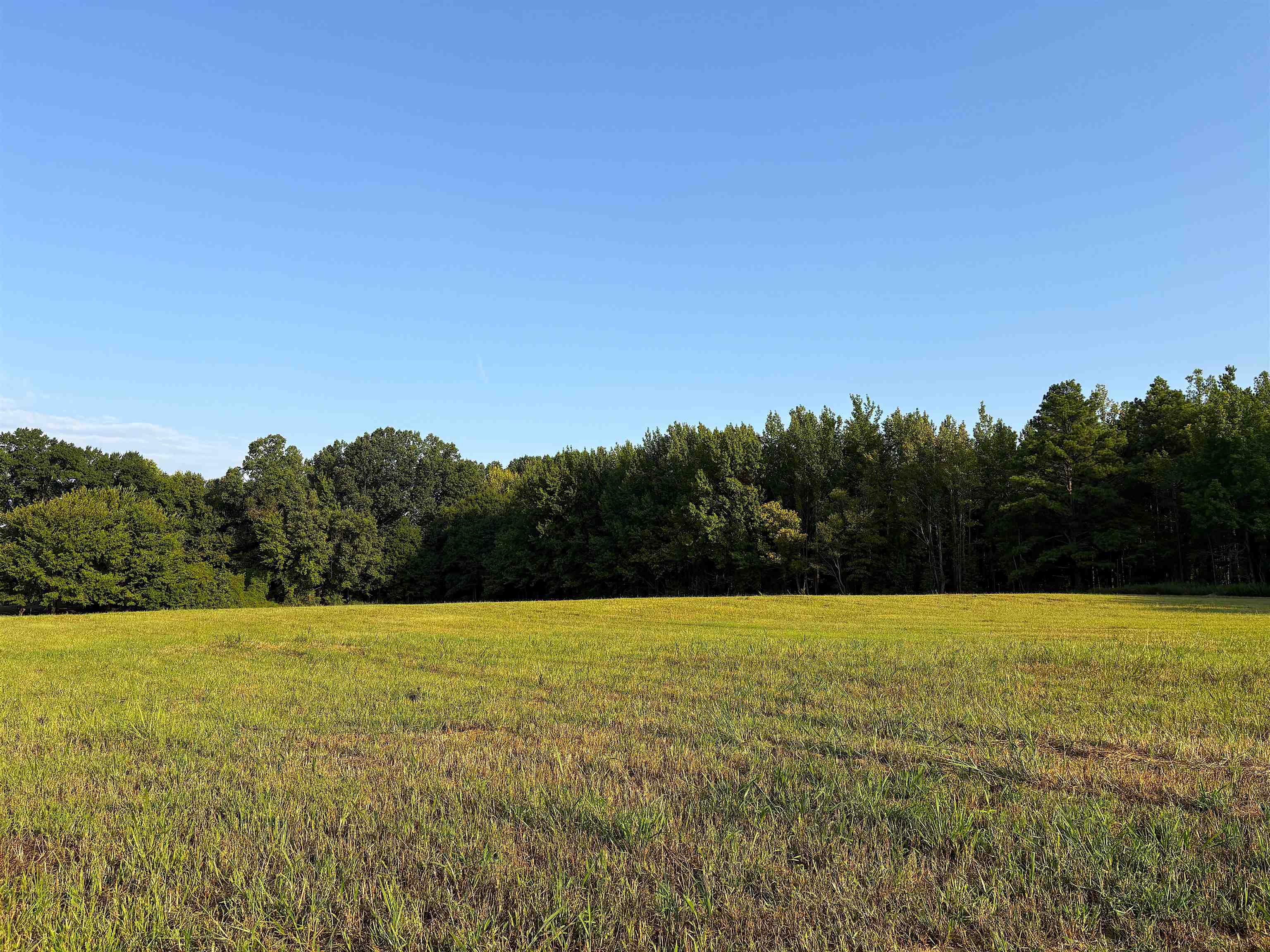 6195 Ricks Rd Property Photo 2