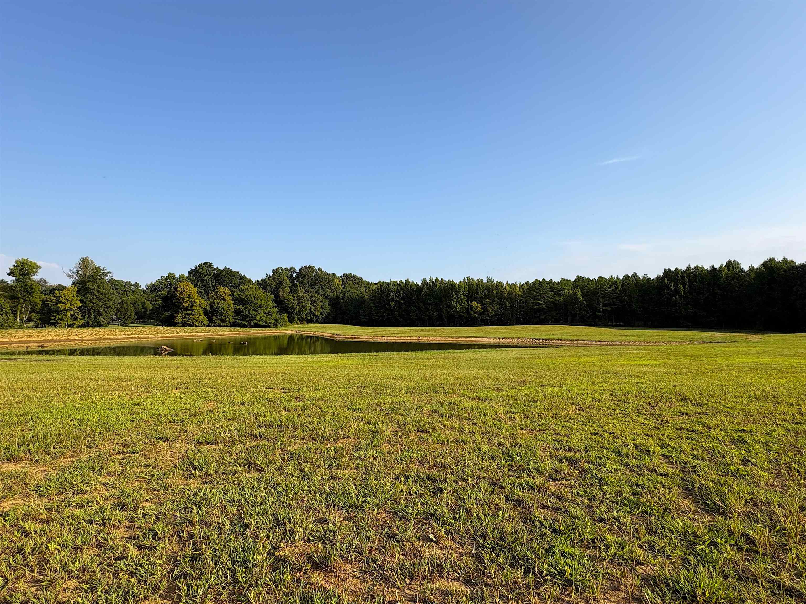 6195 Ricks Rd Property Photo 3