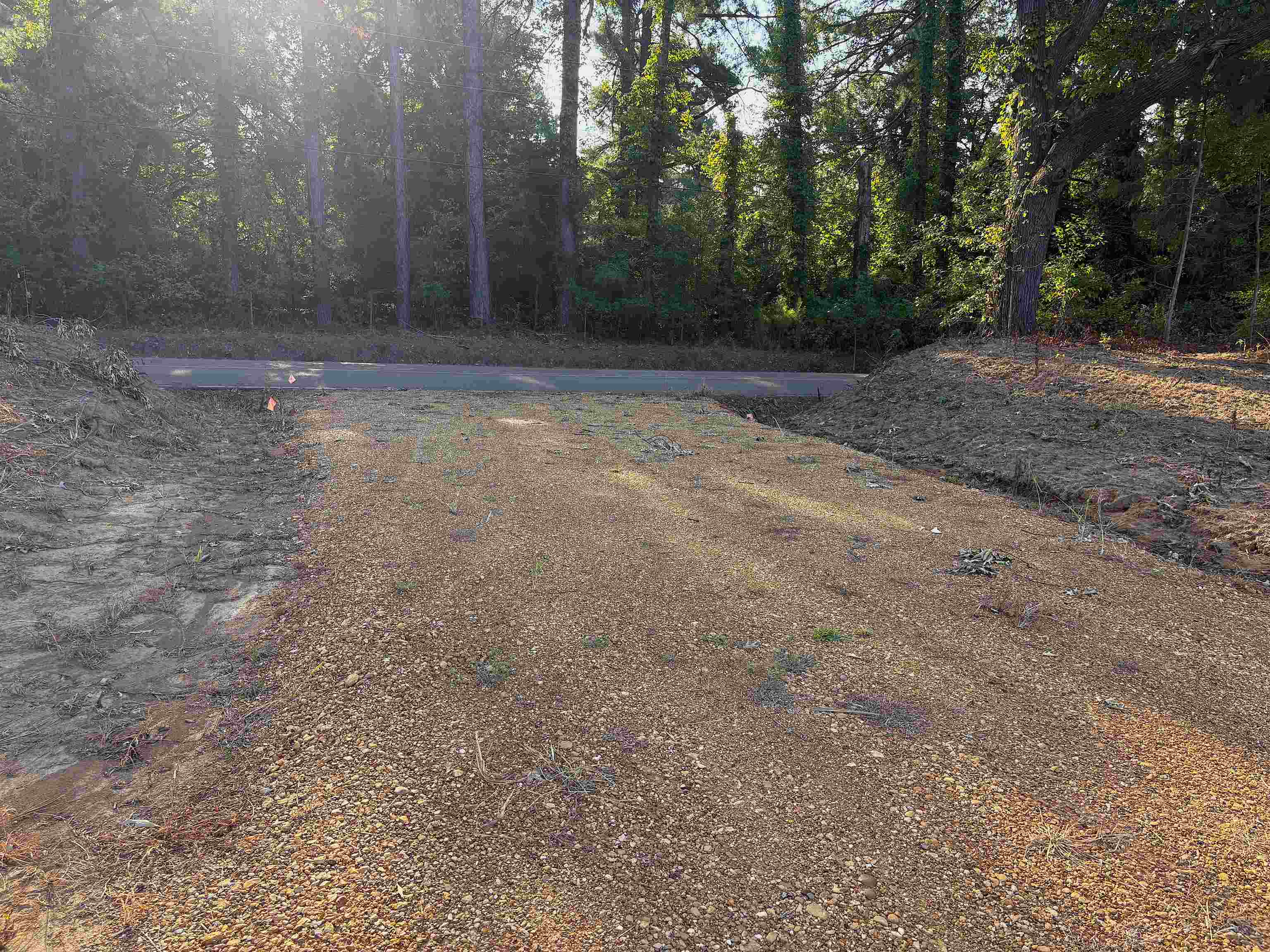 6195 Ricks Rd Property Photo 6