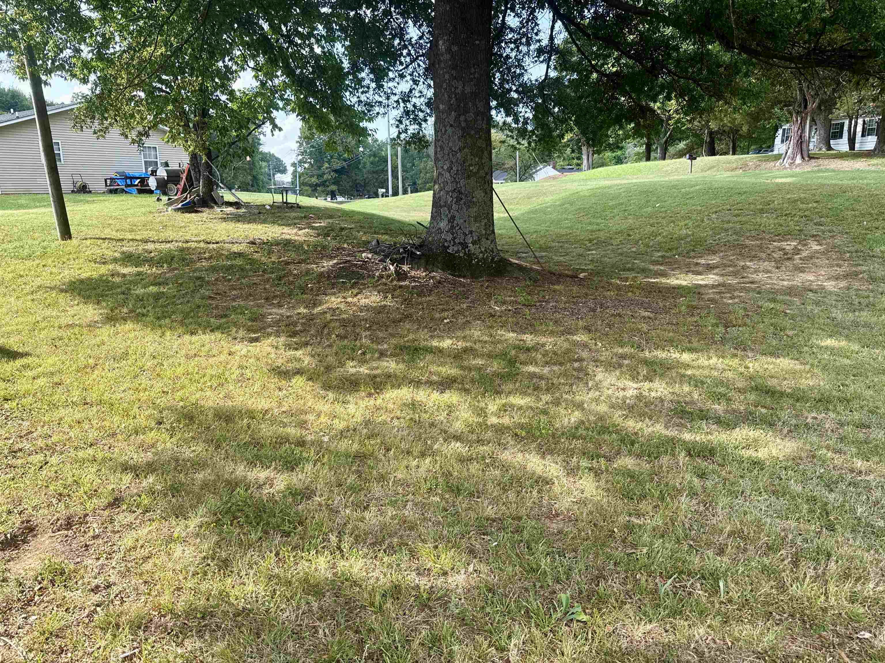 8 Channing Loop Property Photo 4