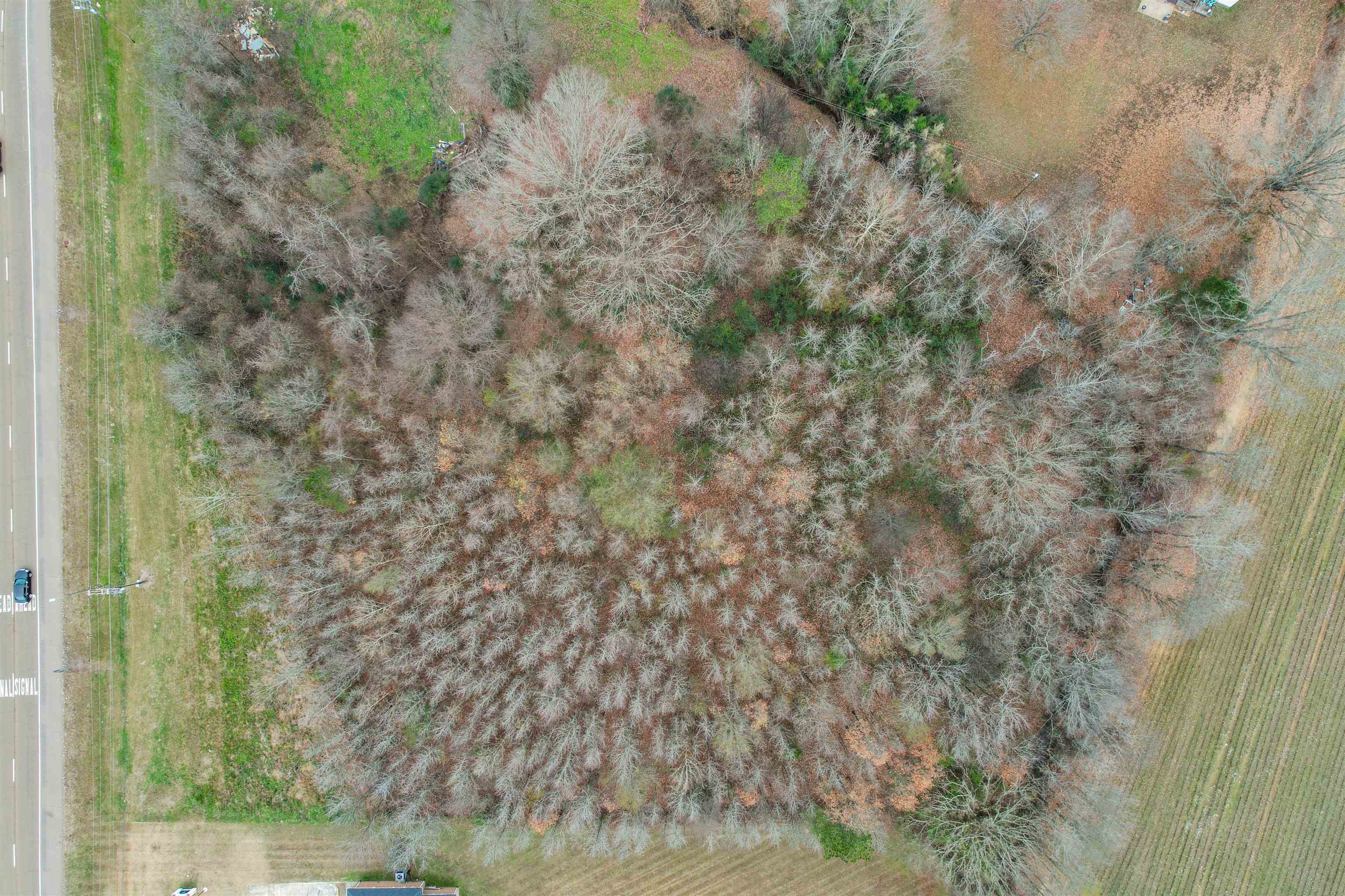 1020 Mulberry Ave Property Photo 3