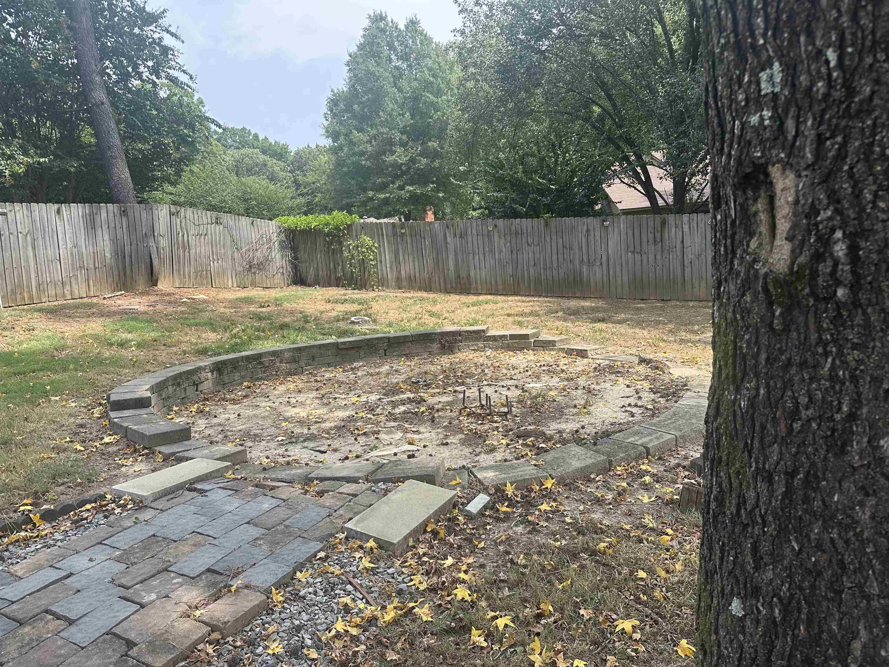 2010 Mt Badon Ln Property Photo 14