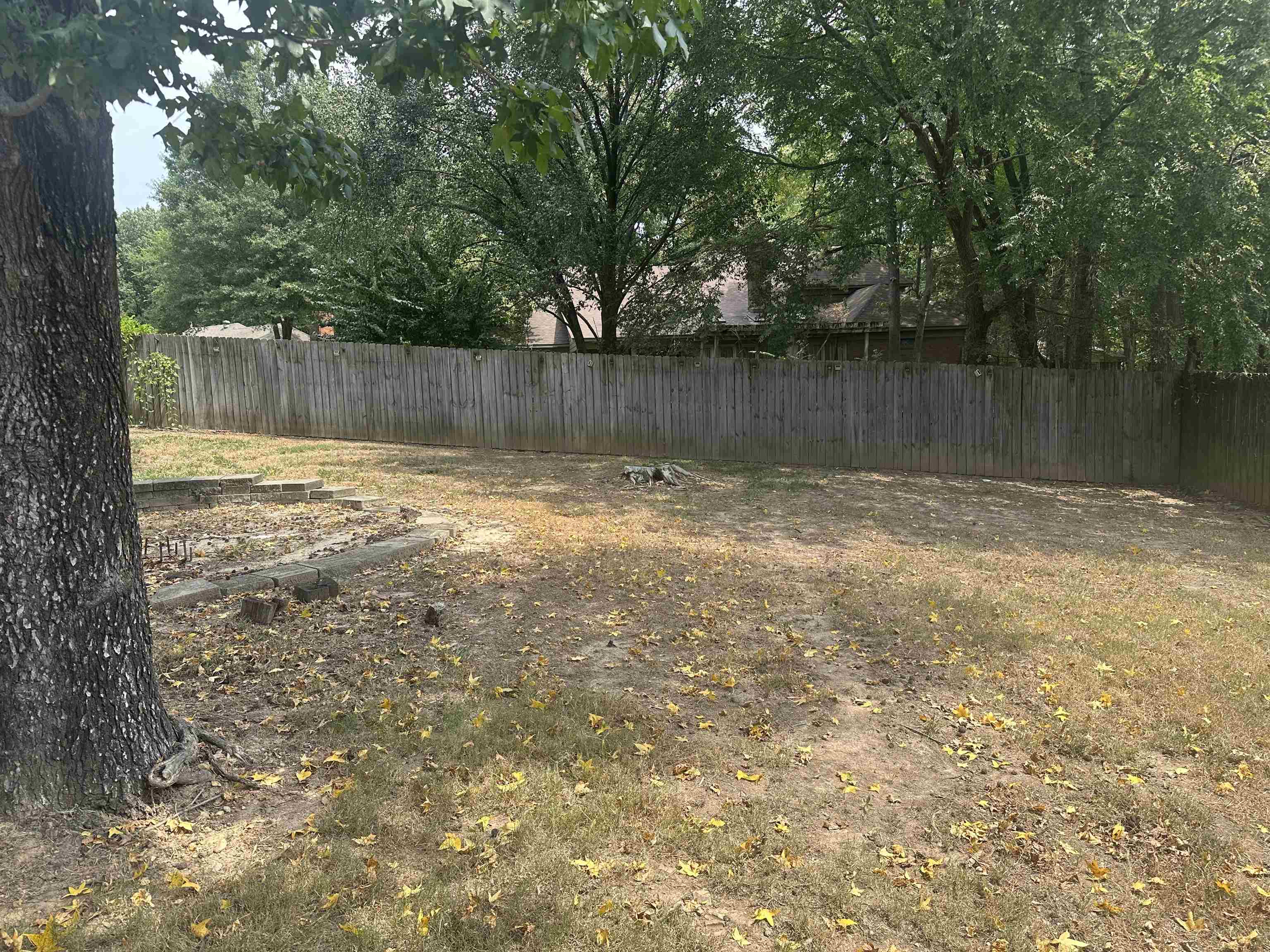 2010 Mt Badon Ln Property Photo 15