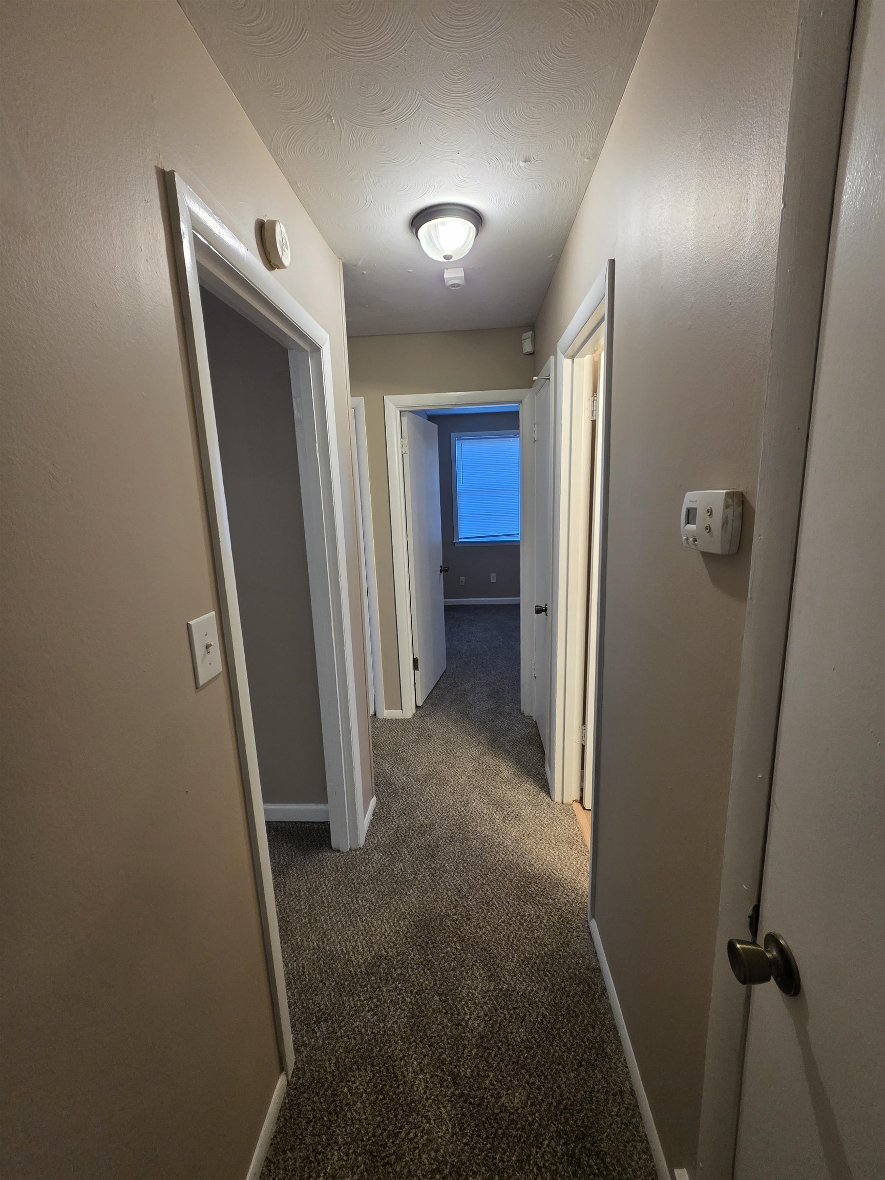 2282 Arlene Ave Property Photo 11