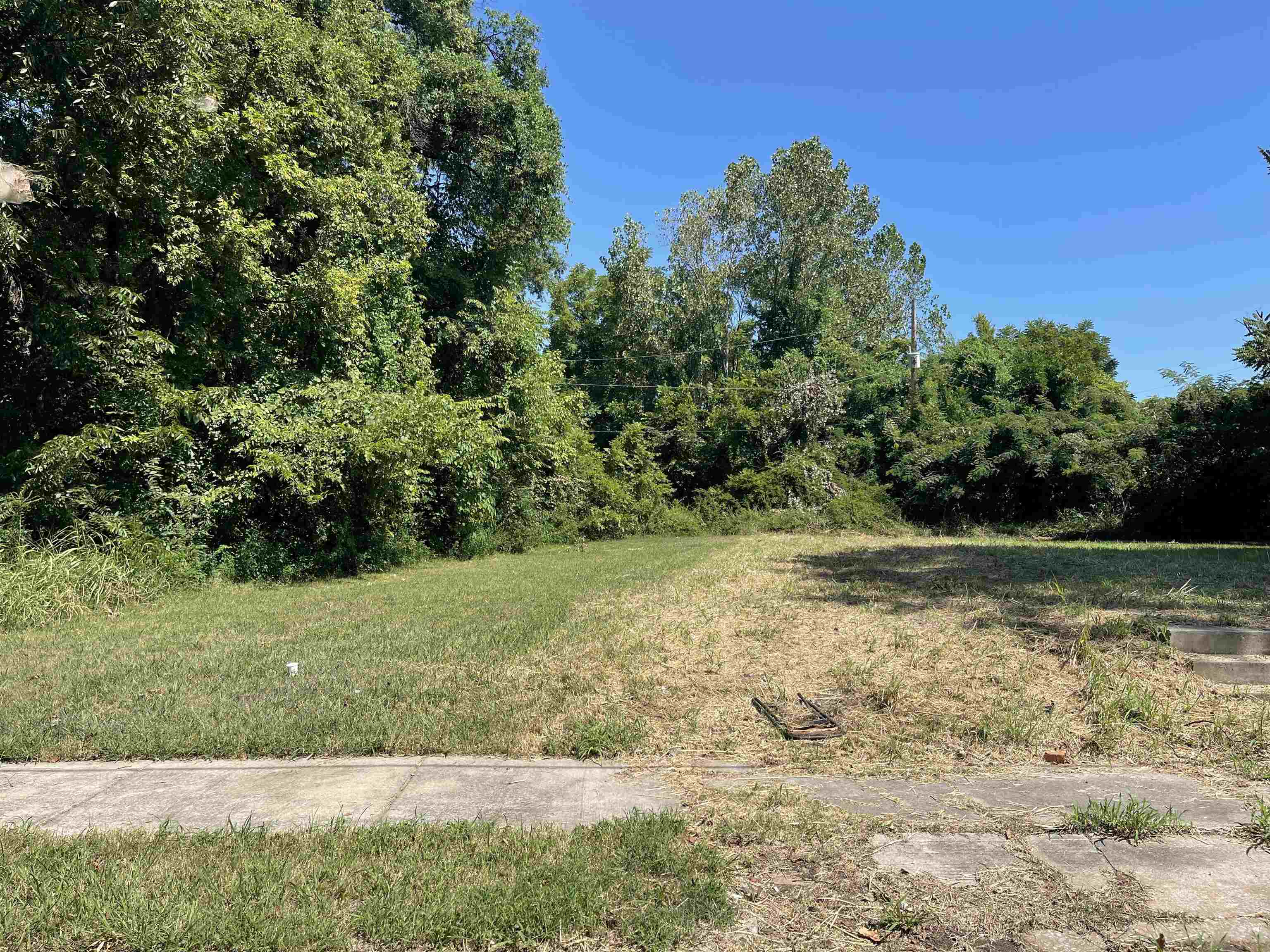 358 E Lucy Ave Property Photo 1