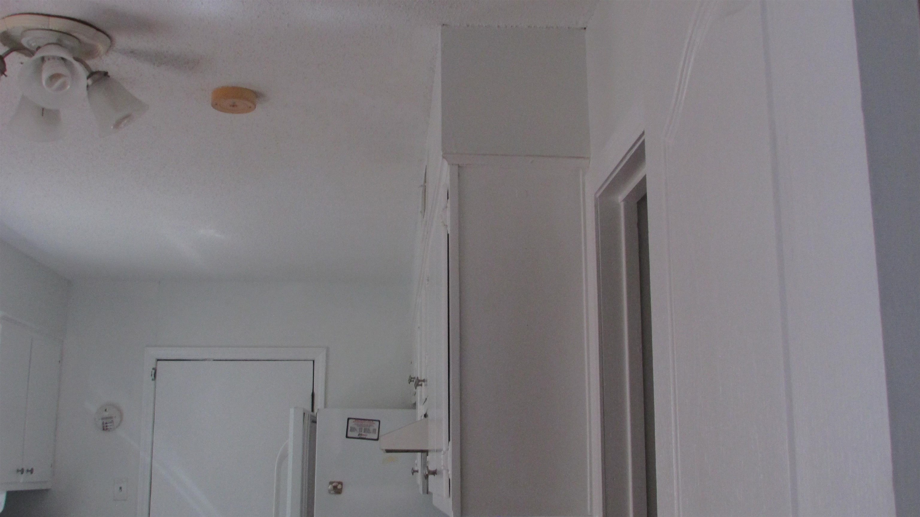 4833 Appleville St Property Photo 13