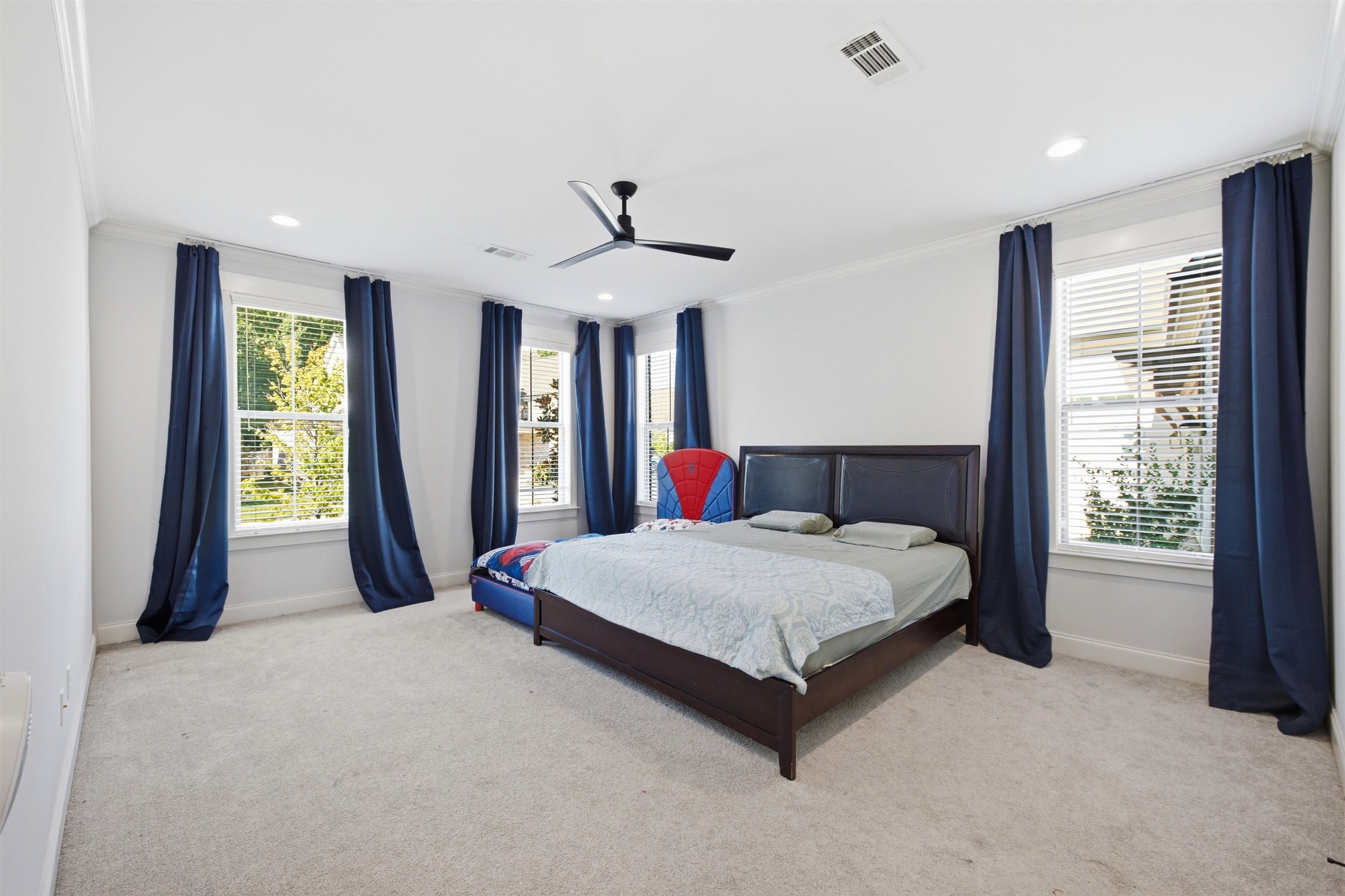 894 Cypress Vine Cv Property Photo 18