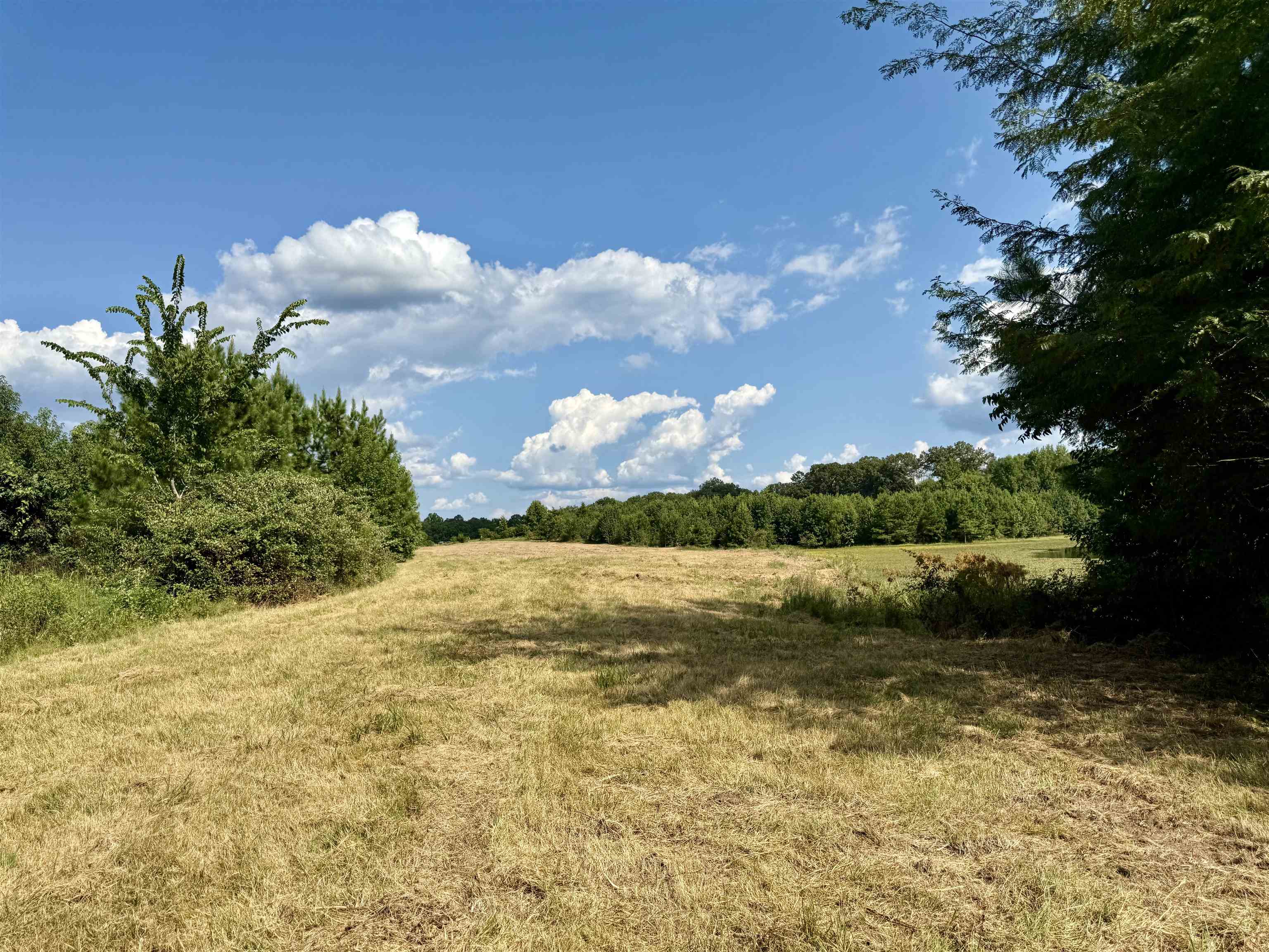 2360 Burnette Rd Property Photo 15