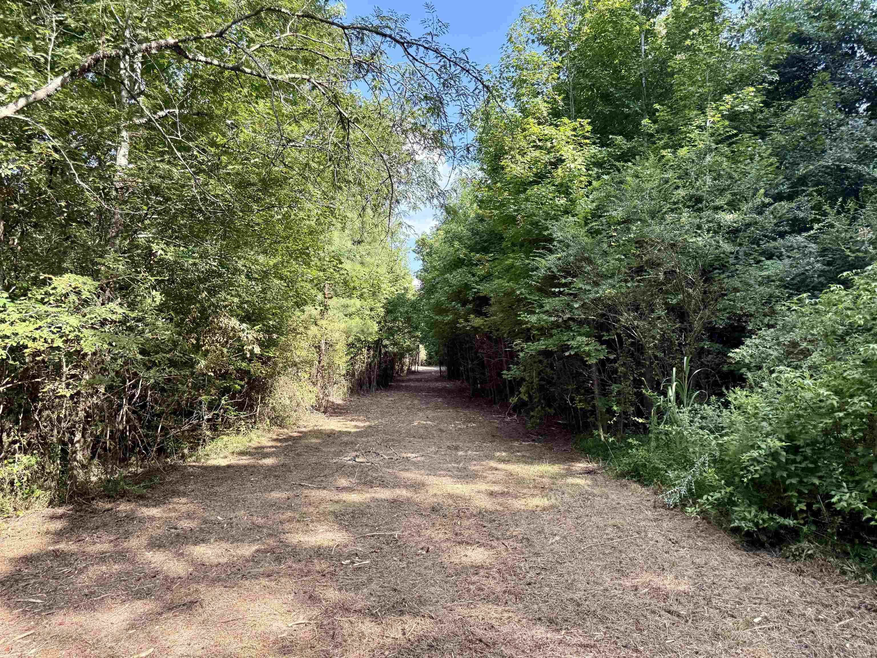 2360 Burnette Rd Property Photo 17