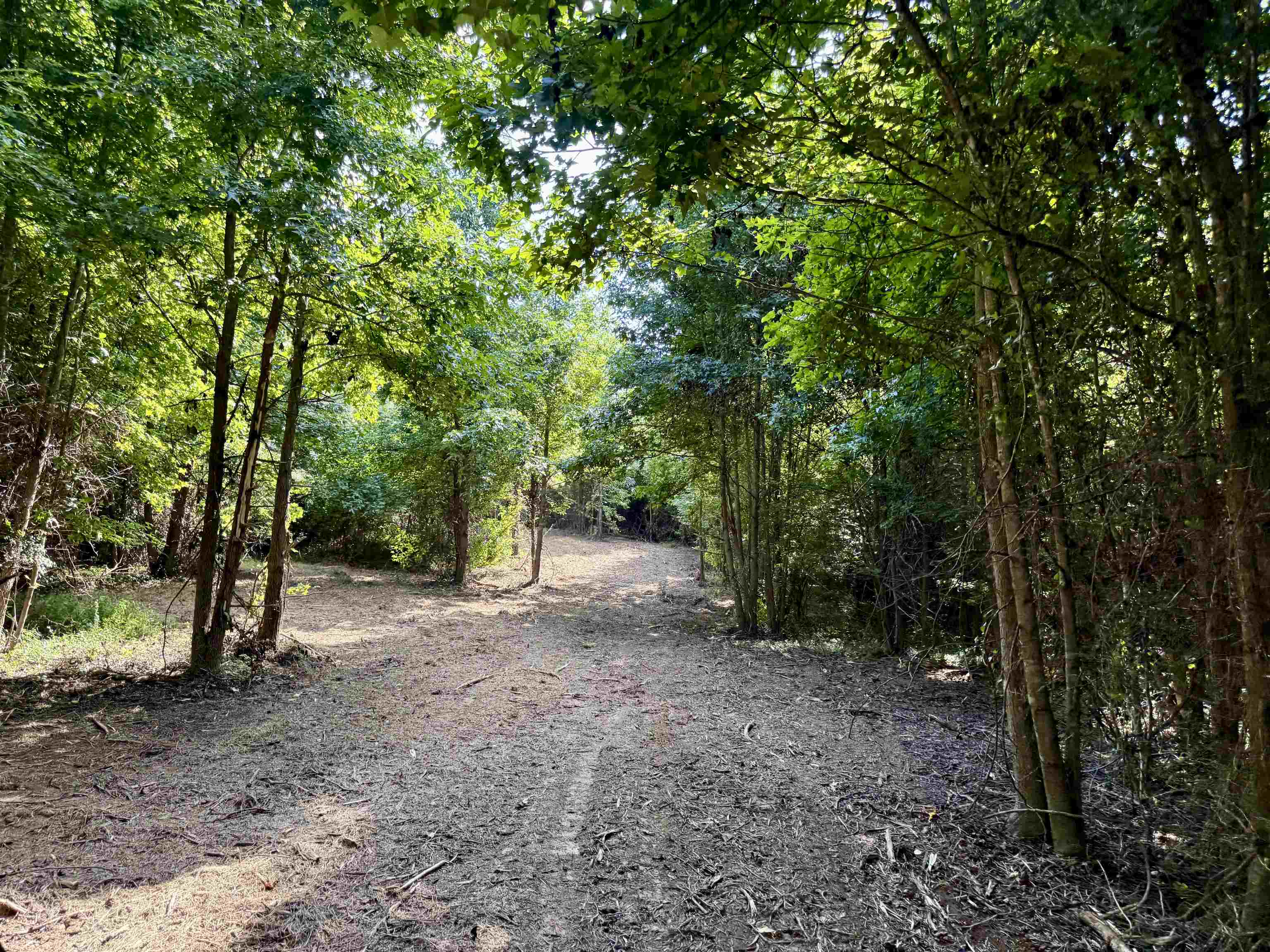 2360 Burnette Rd Property Photo 19