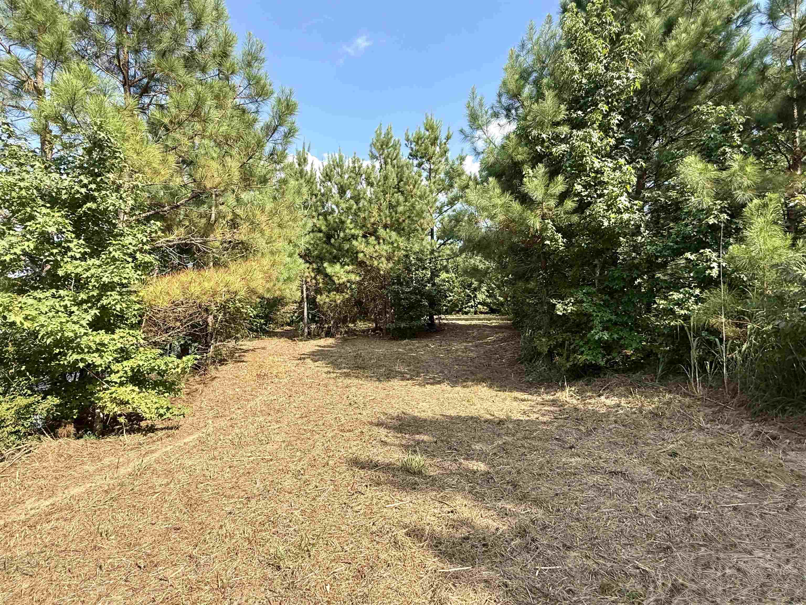 2360 Burnette Rd Property Photo 20