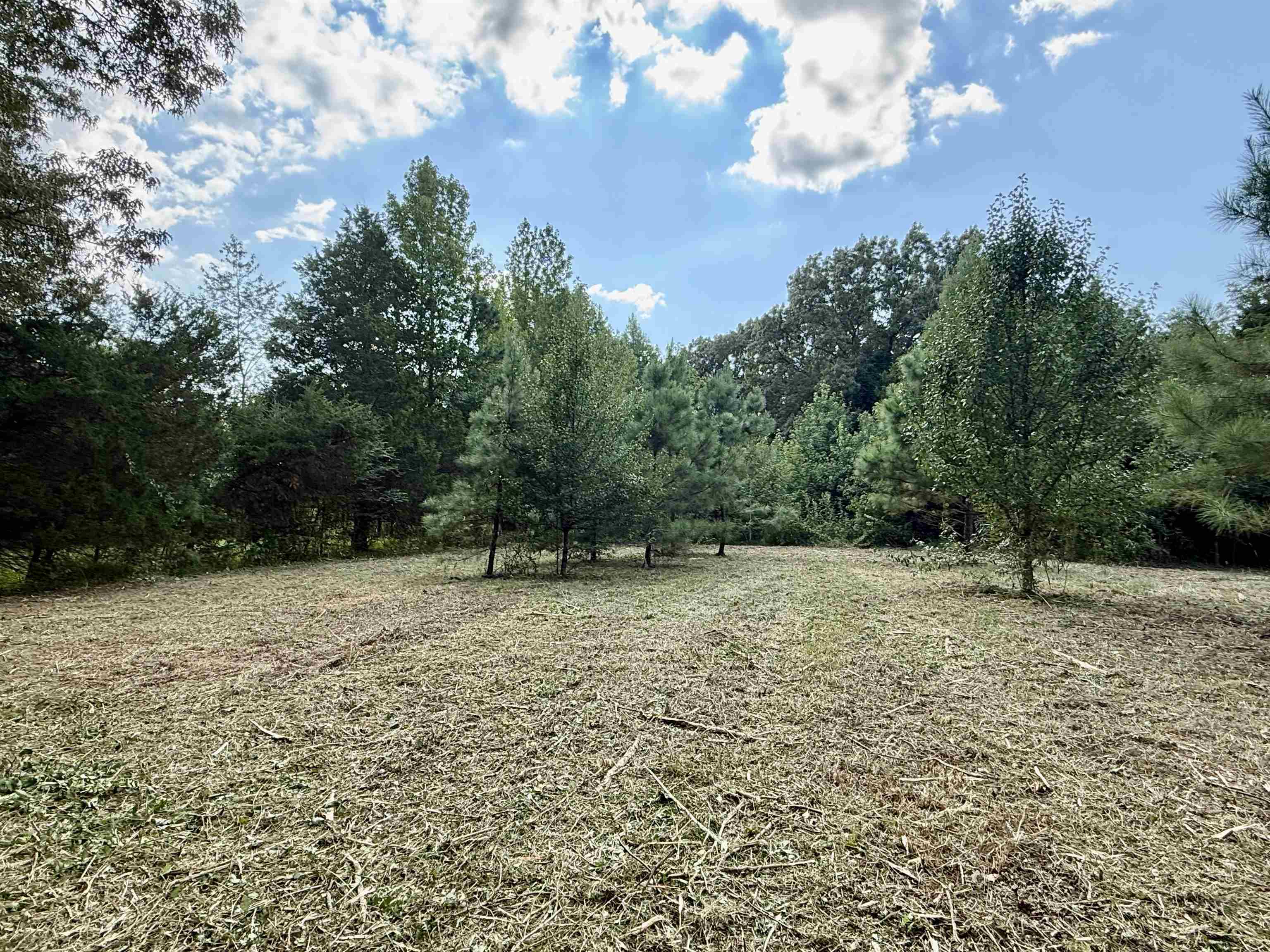 2360 Burnette Rd Property Photo 24
