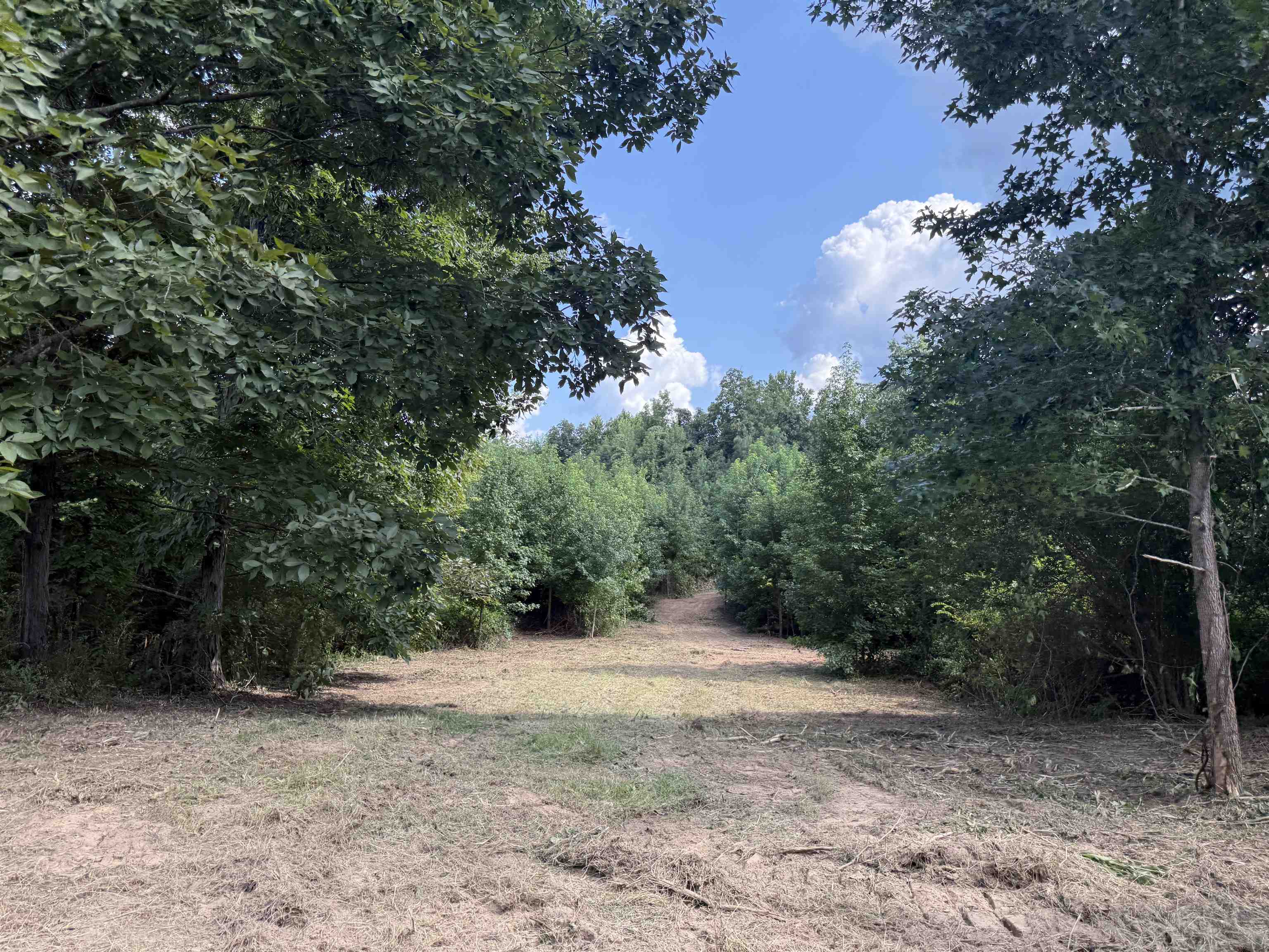 2360 Burnette Rd Property Photo 26