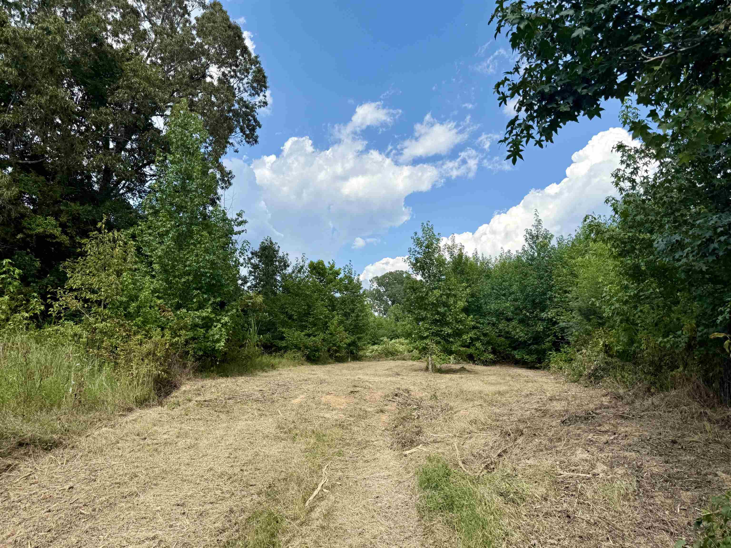 2360 Burnette Rd Property Photo 29