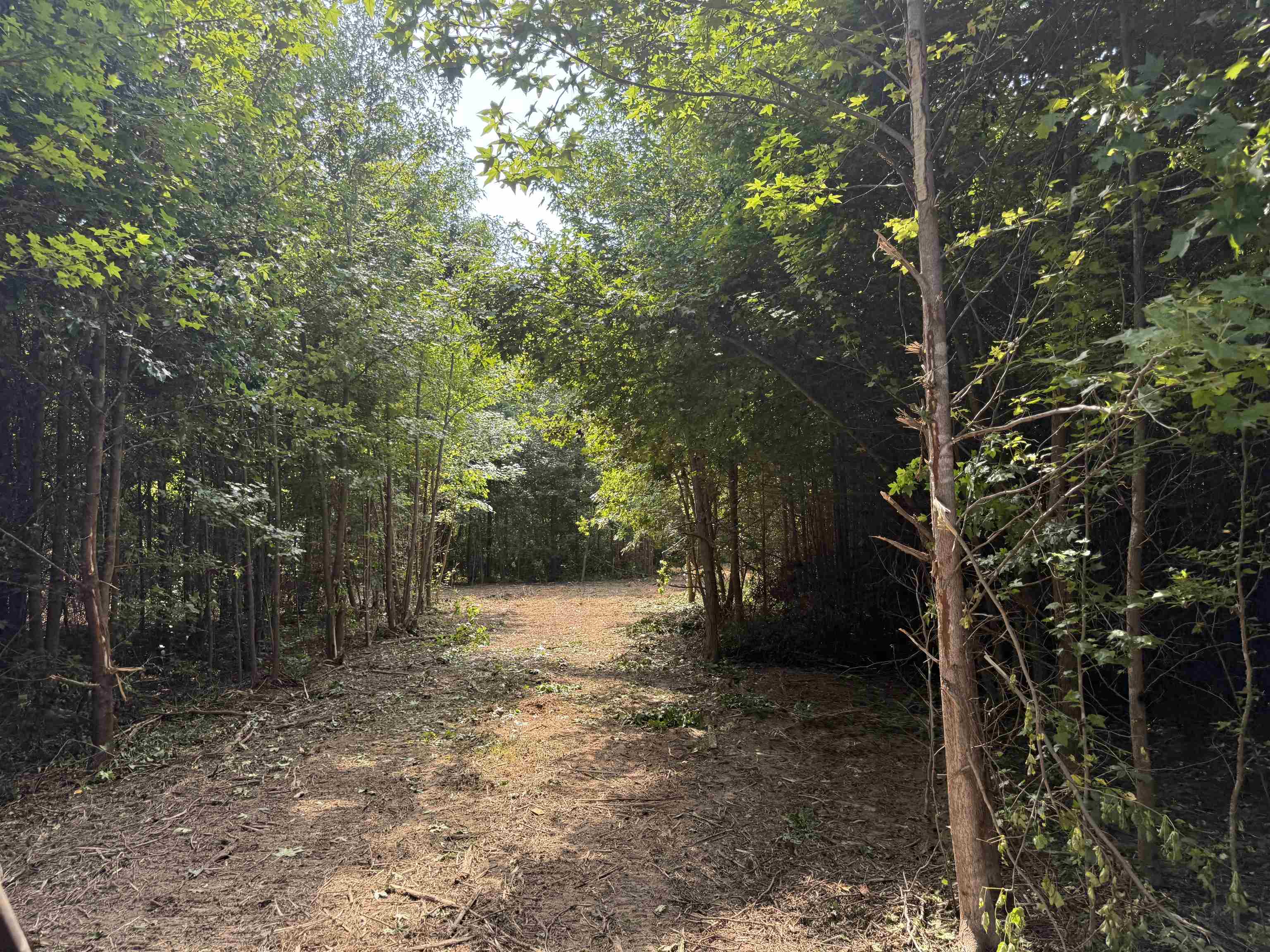 2360 Burnette Rd Property Photo 30