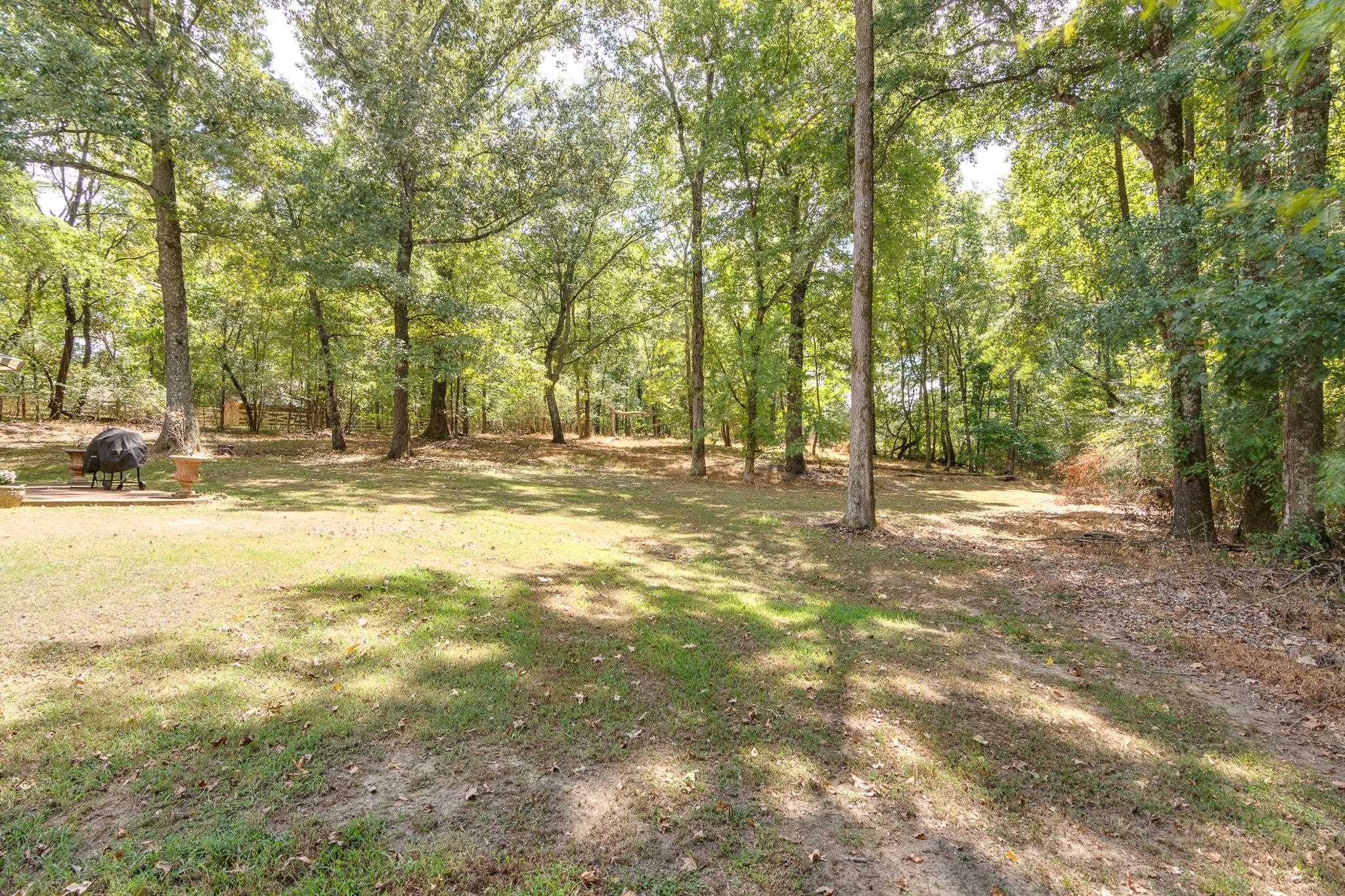 11095 Latting Rd Property Photo 34