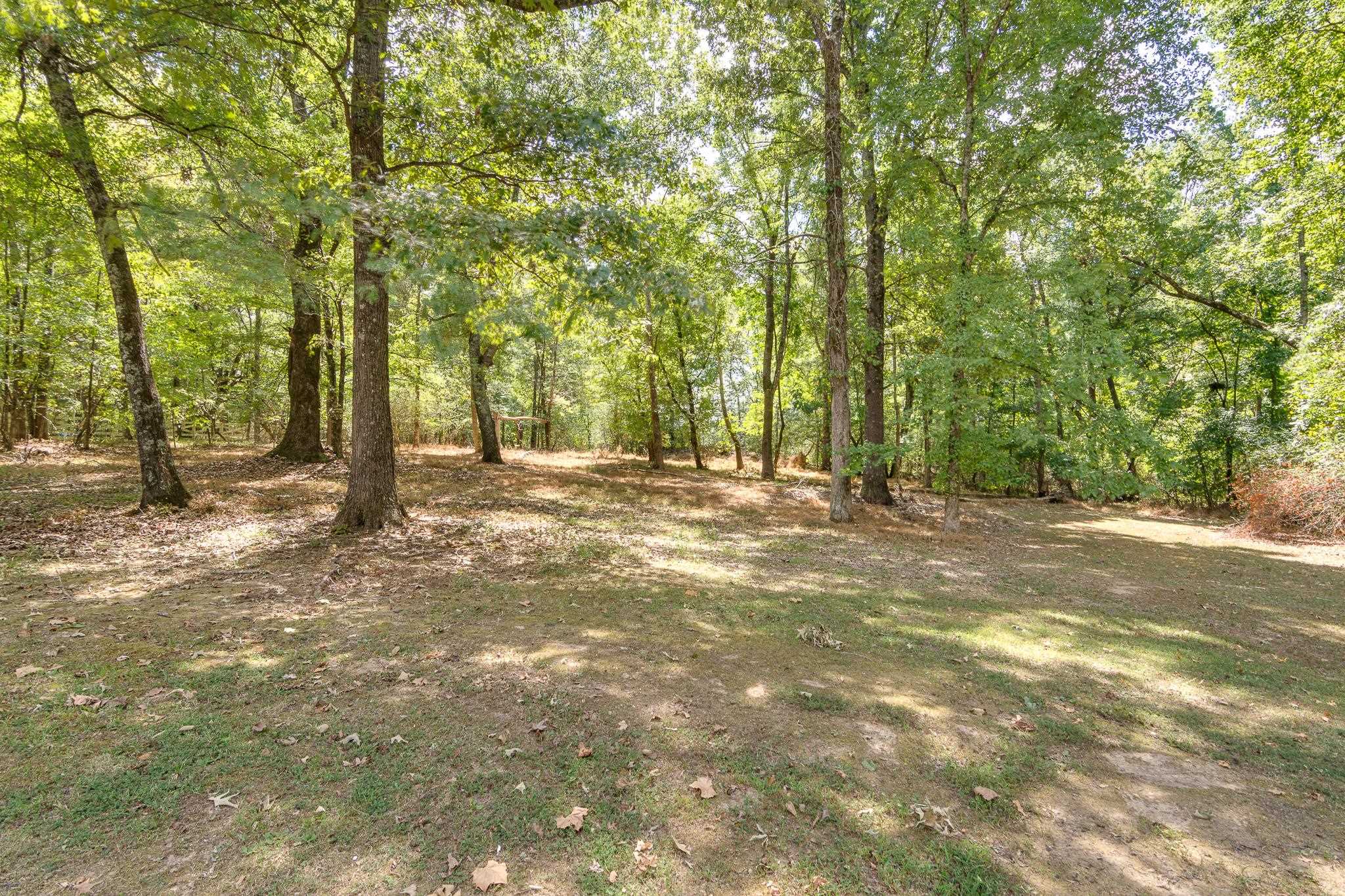11095 Latting Rd Property Photo 35