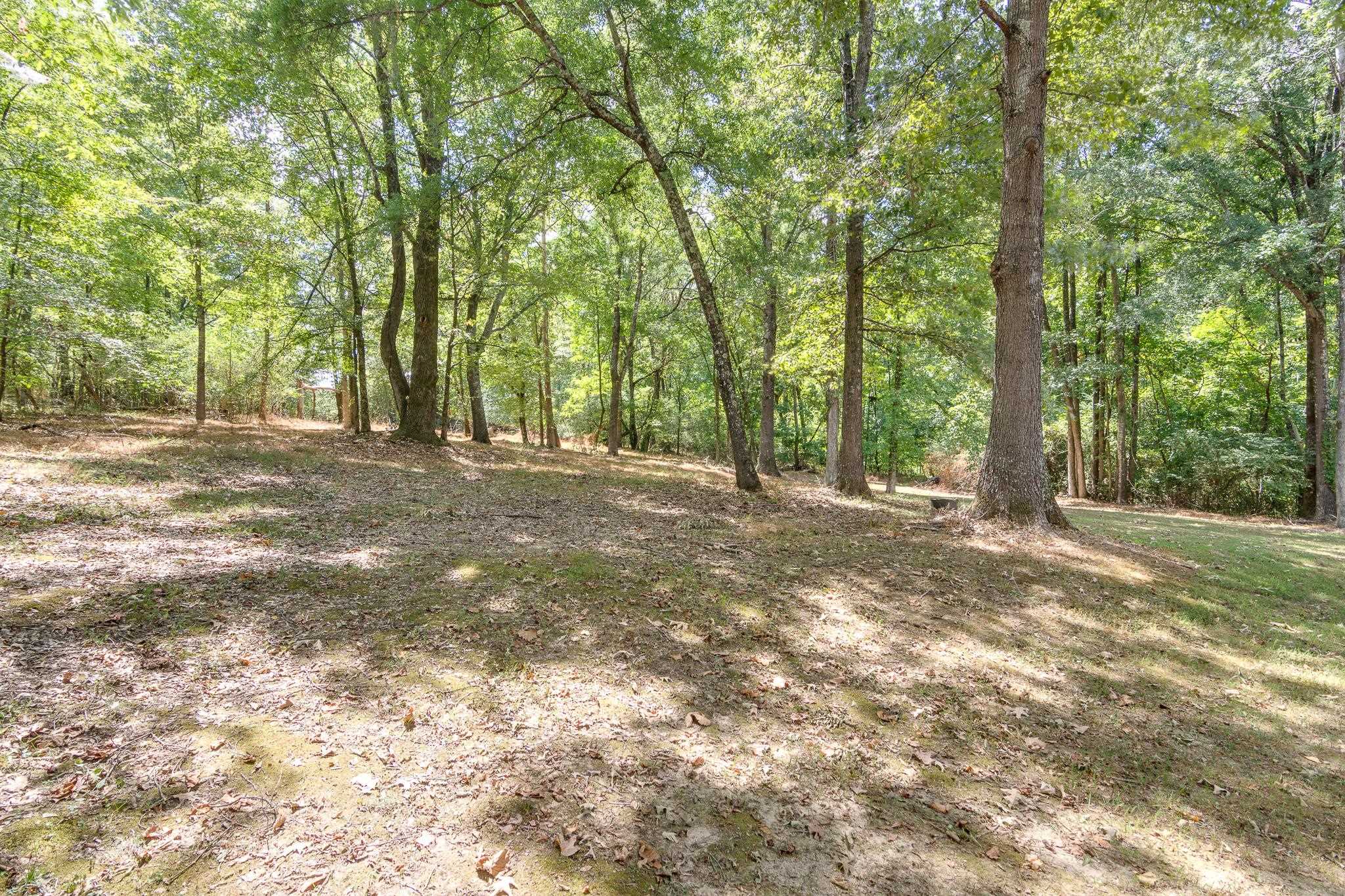11095 Latting Rd Property Photo 36