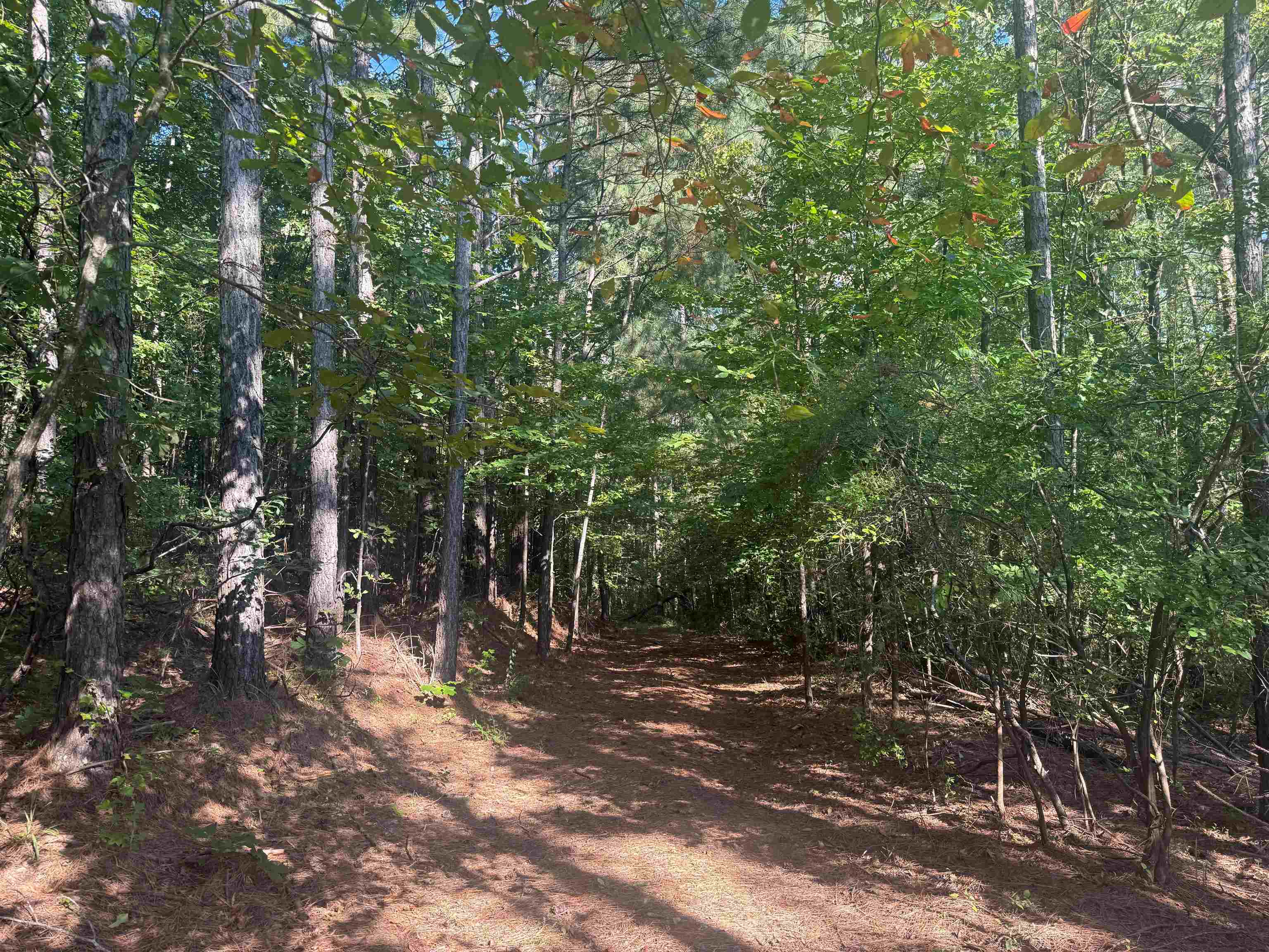 0 Preacher Dr Property Photo 11