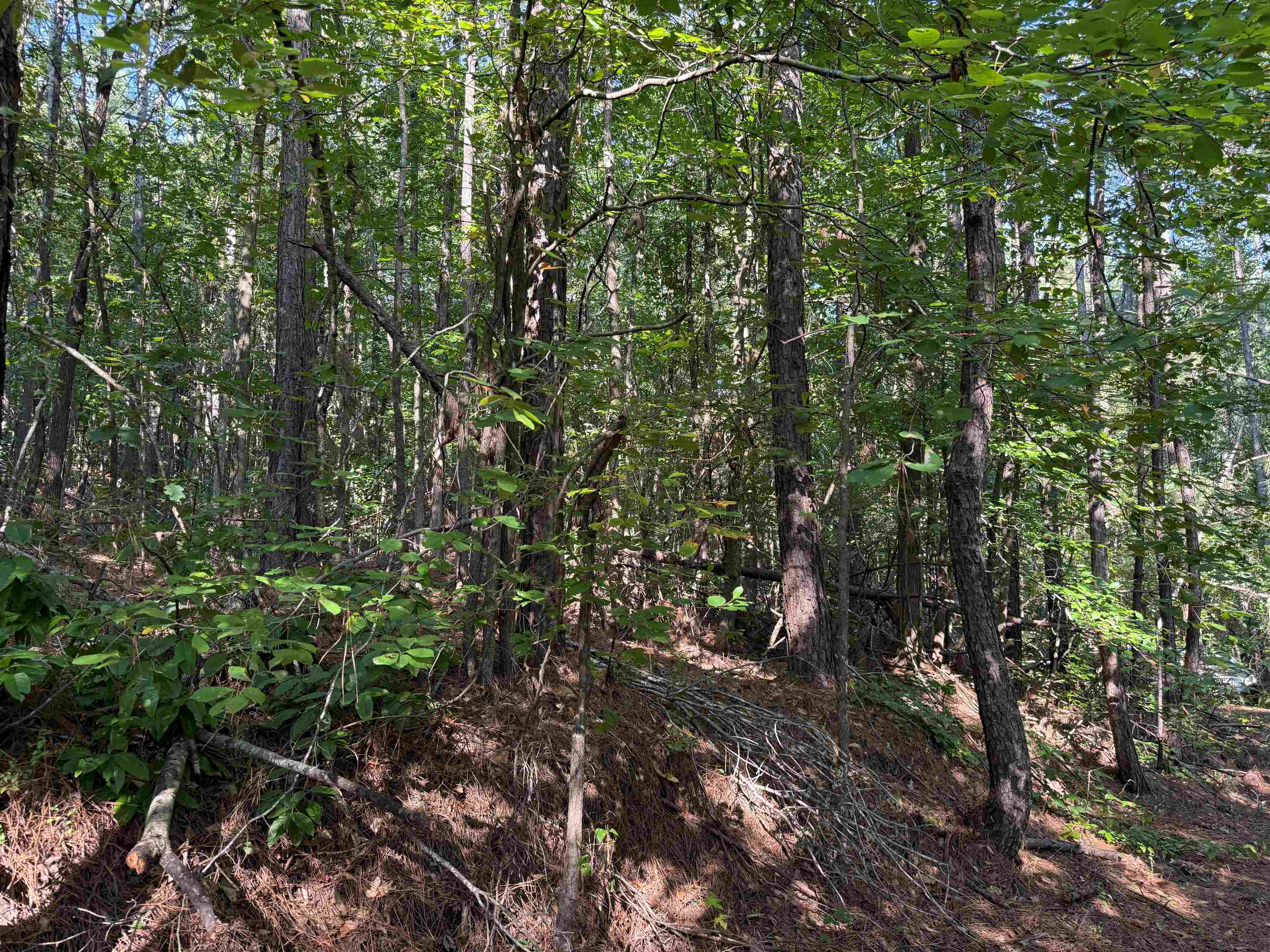 0 Preacher Dr Property Photo 13