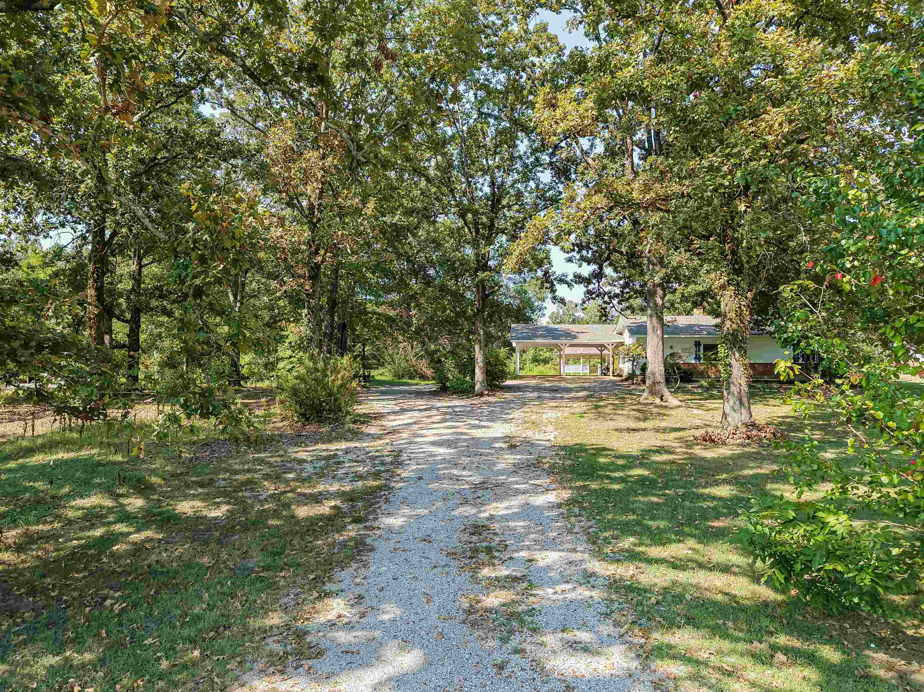 7437 Hwy 45 Hwy Property Photo 4